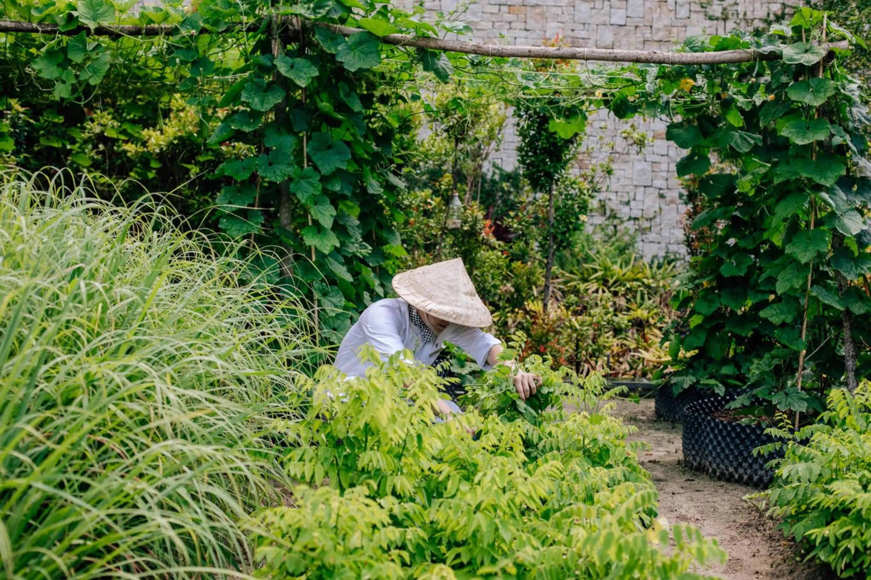 Other in JW Marriott Phu Quoc Emerald Bay Resort & Spa