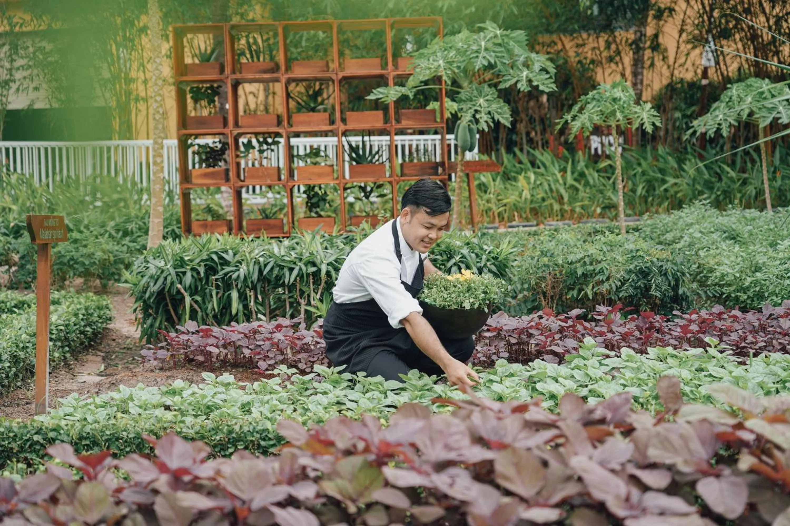 Other in JW Marriott Phu Quoc Emerald Bay Resort & Spa