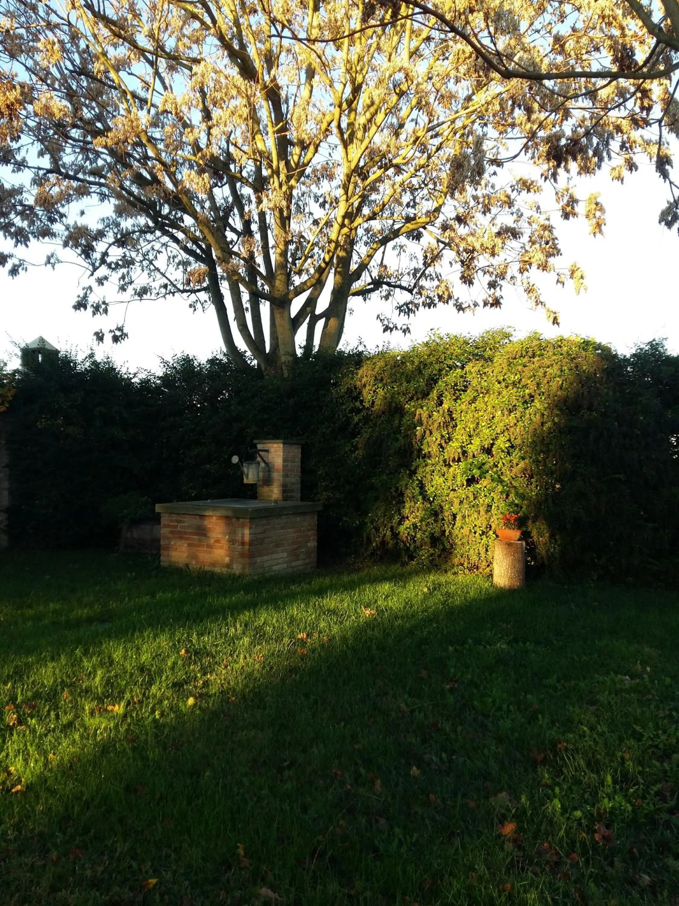 Garden in B&B Le Ripe