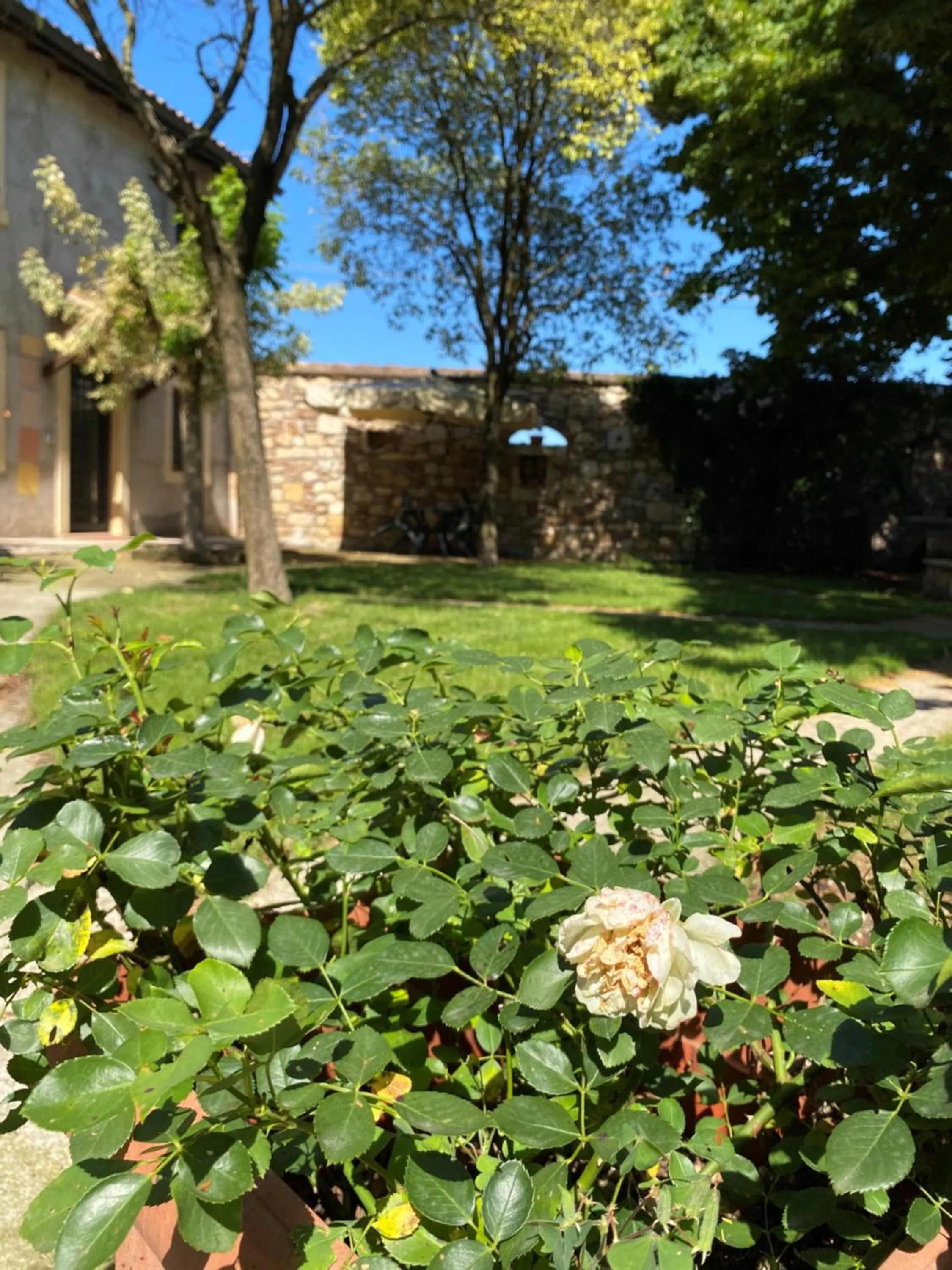 Villa Broglia House