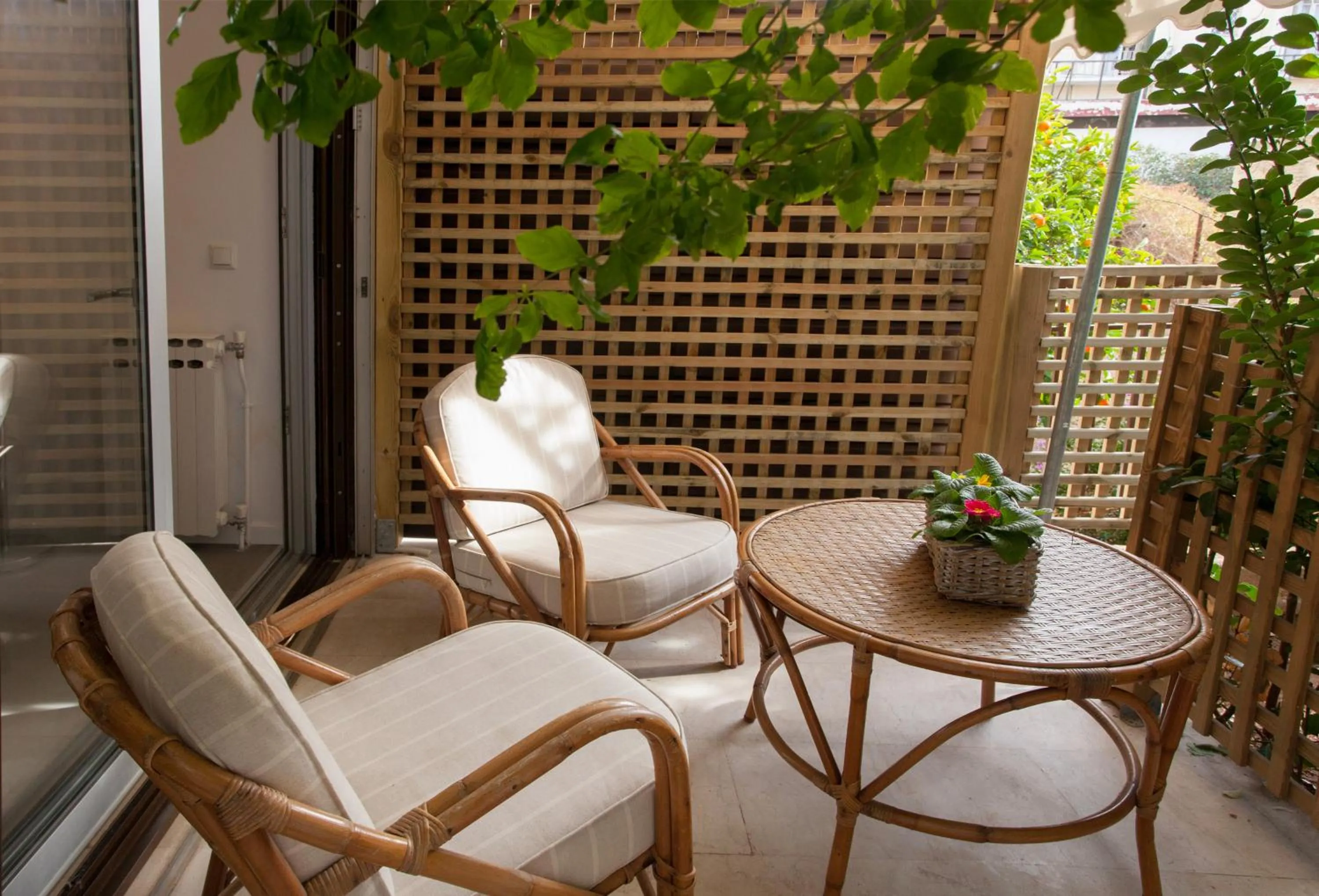 Garden in Homz Studios Faliro