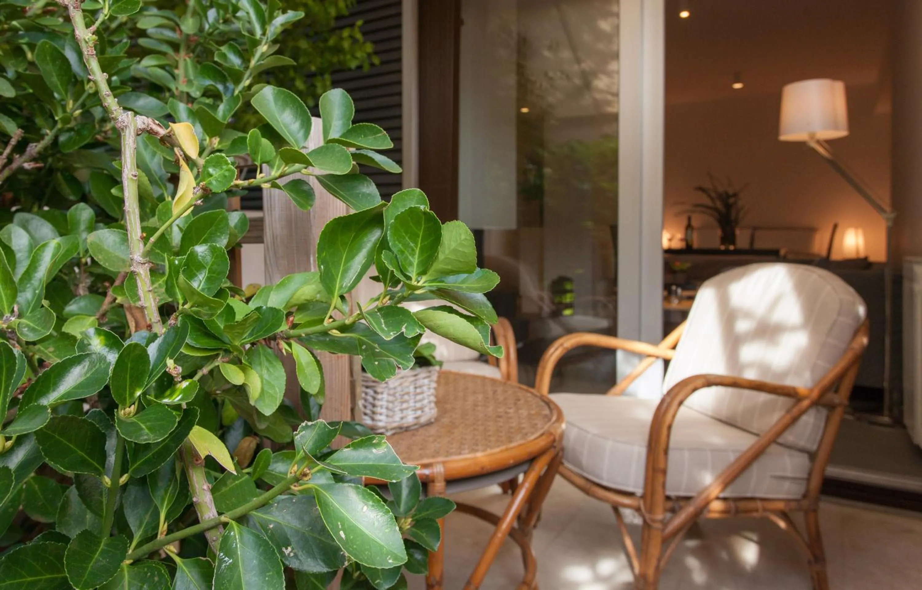 Garden in Homz Studios Faliro