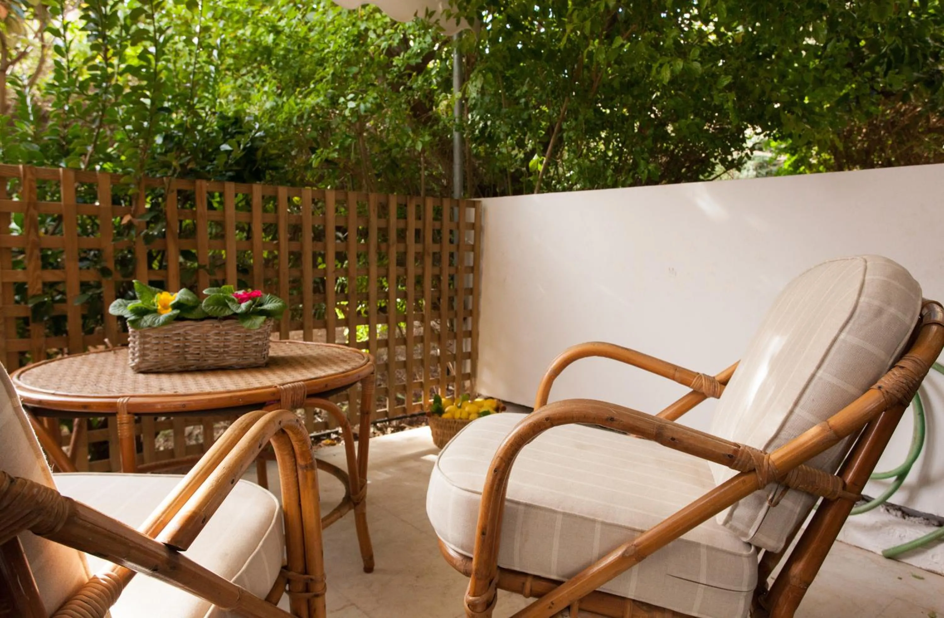 Garden in Homz Studios Faliro