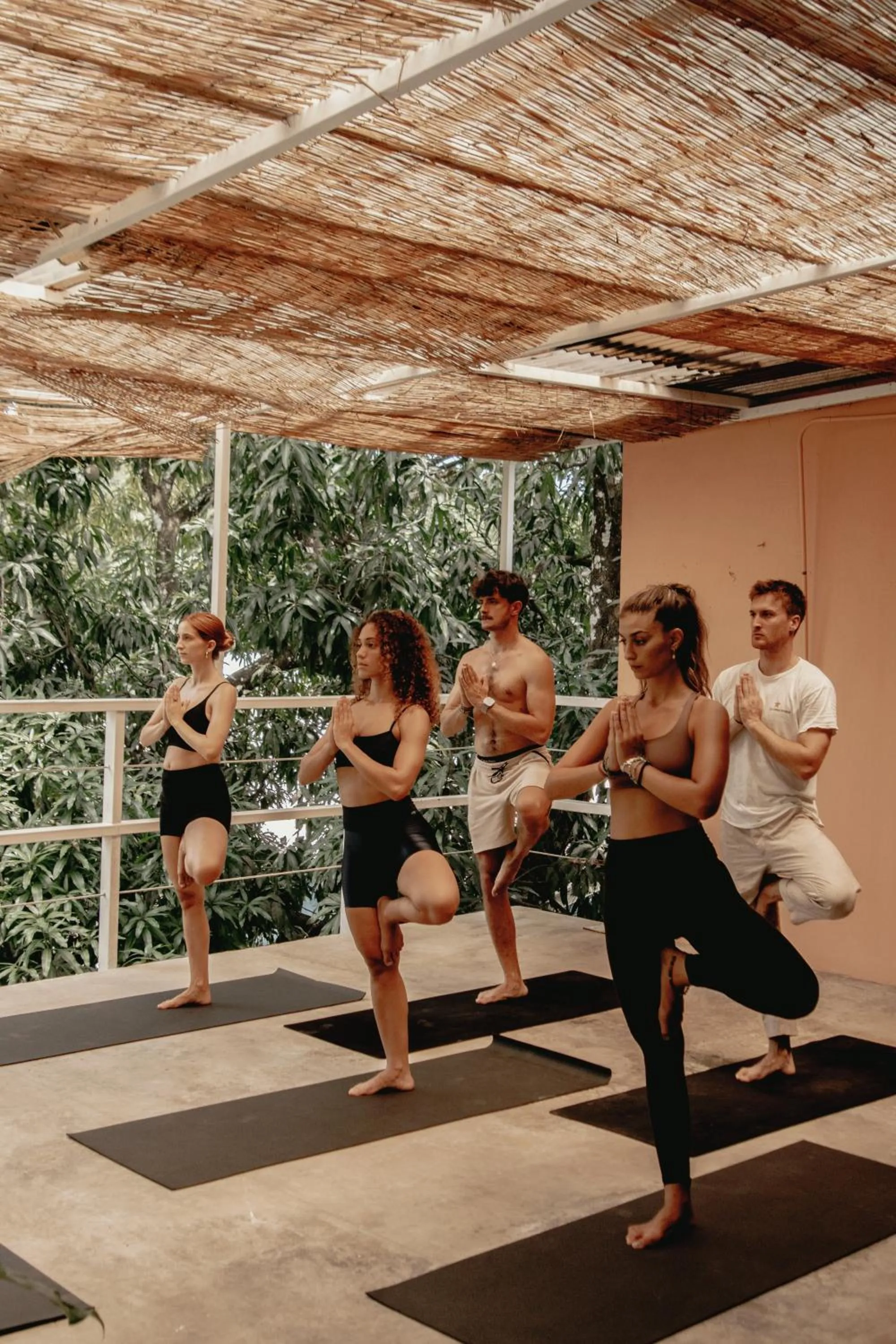 Armonia Santa Teresa