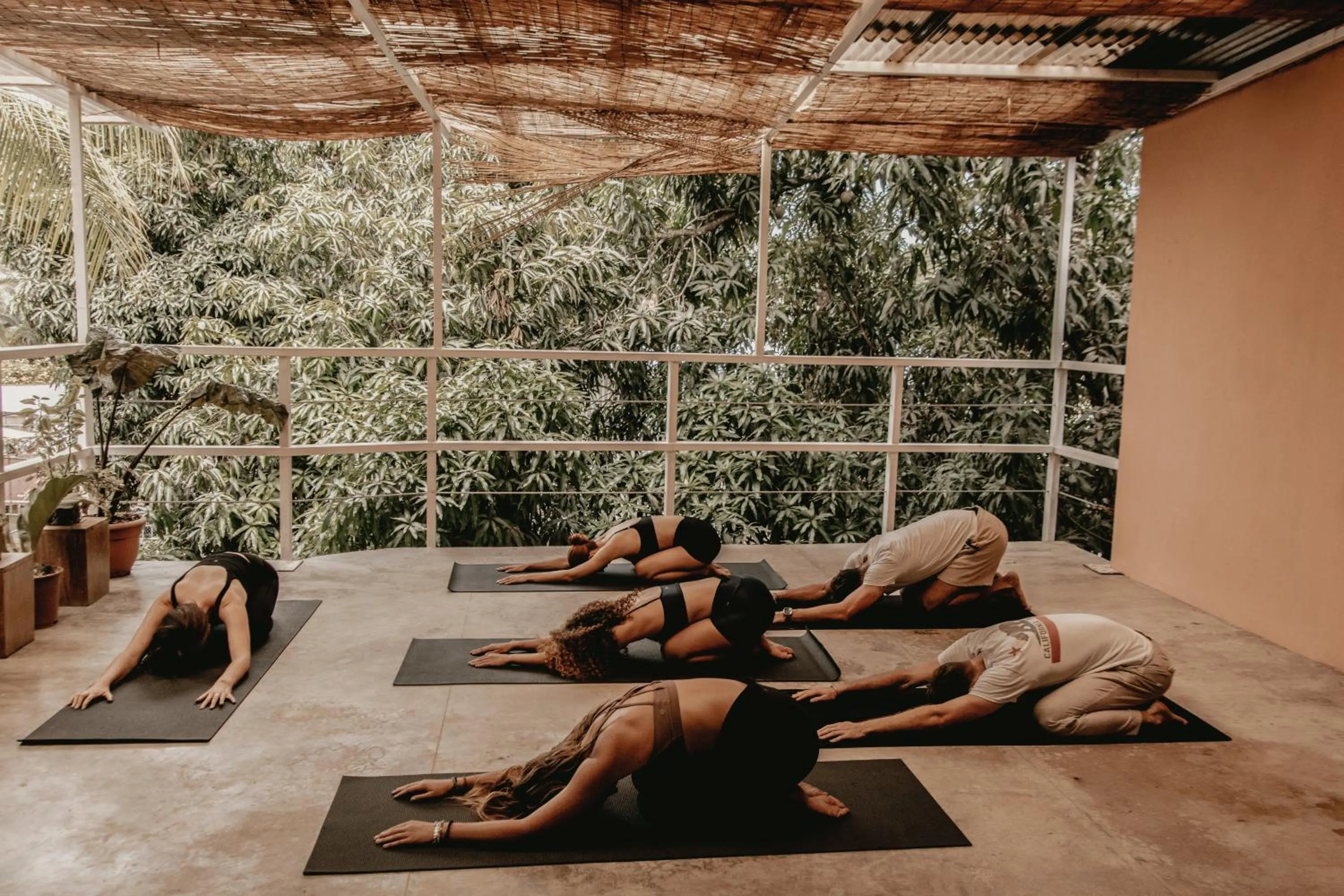 Armonia Santa Teresa