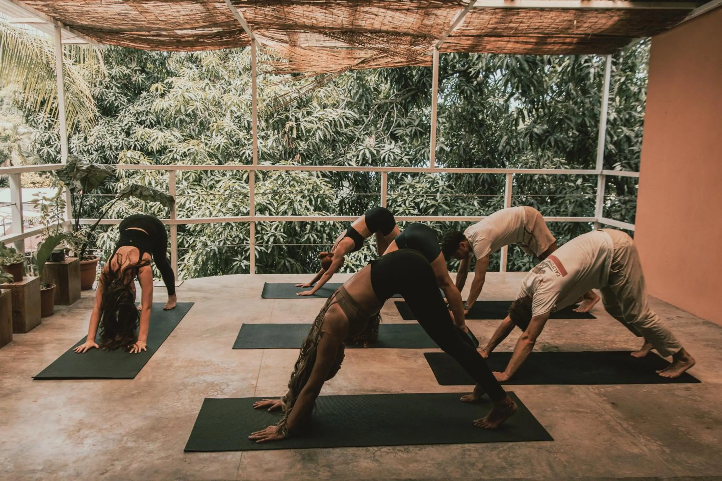 Armonia Santa Teresa