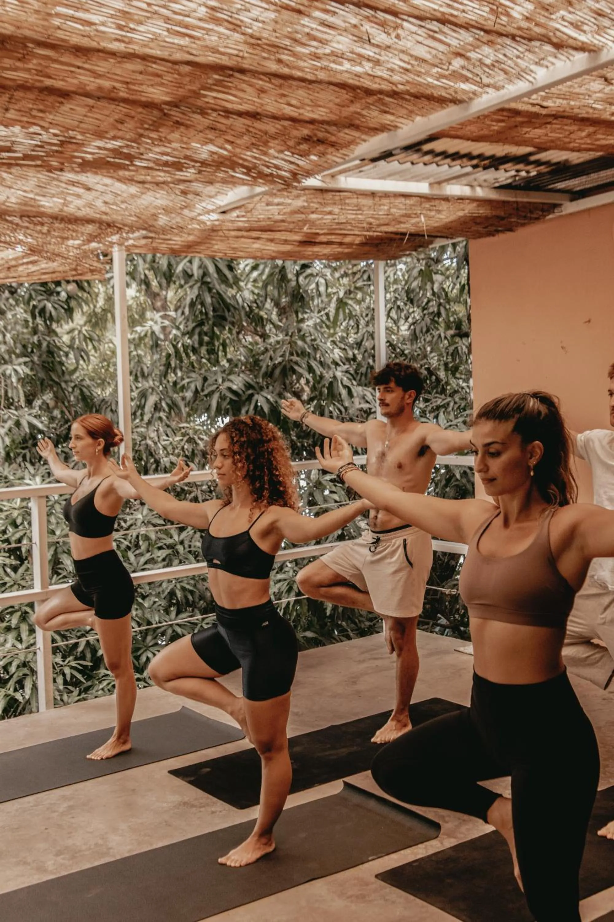 Armonia Santa Teresa