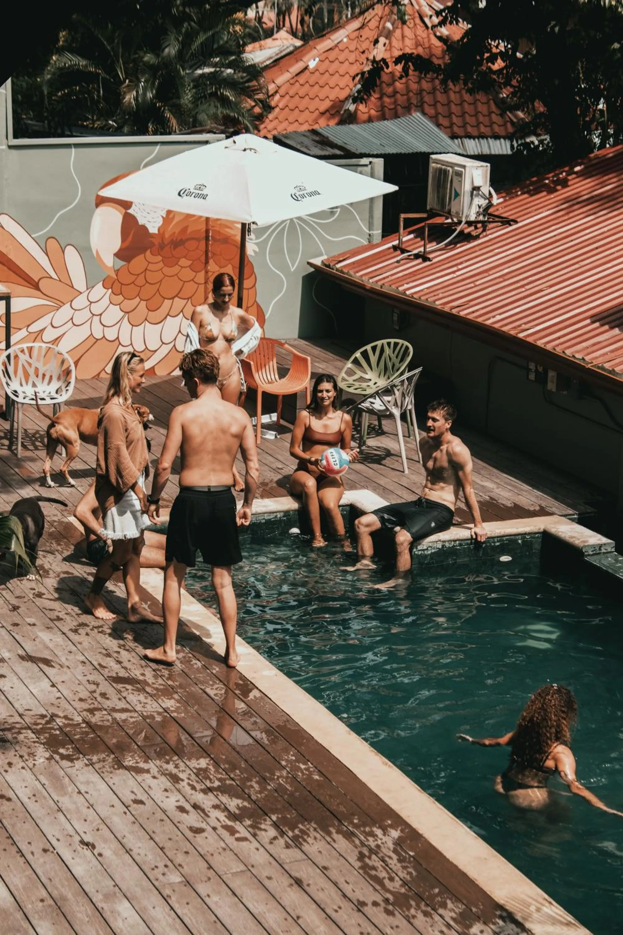 Armonia Santa Teresa