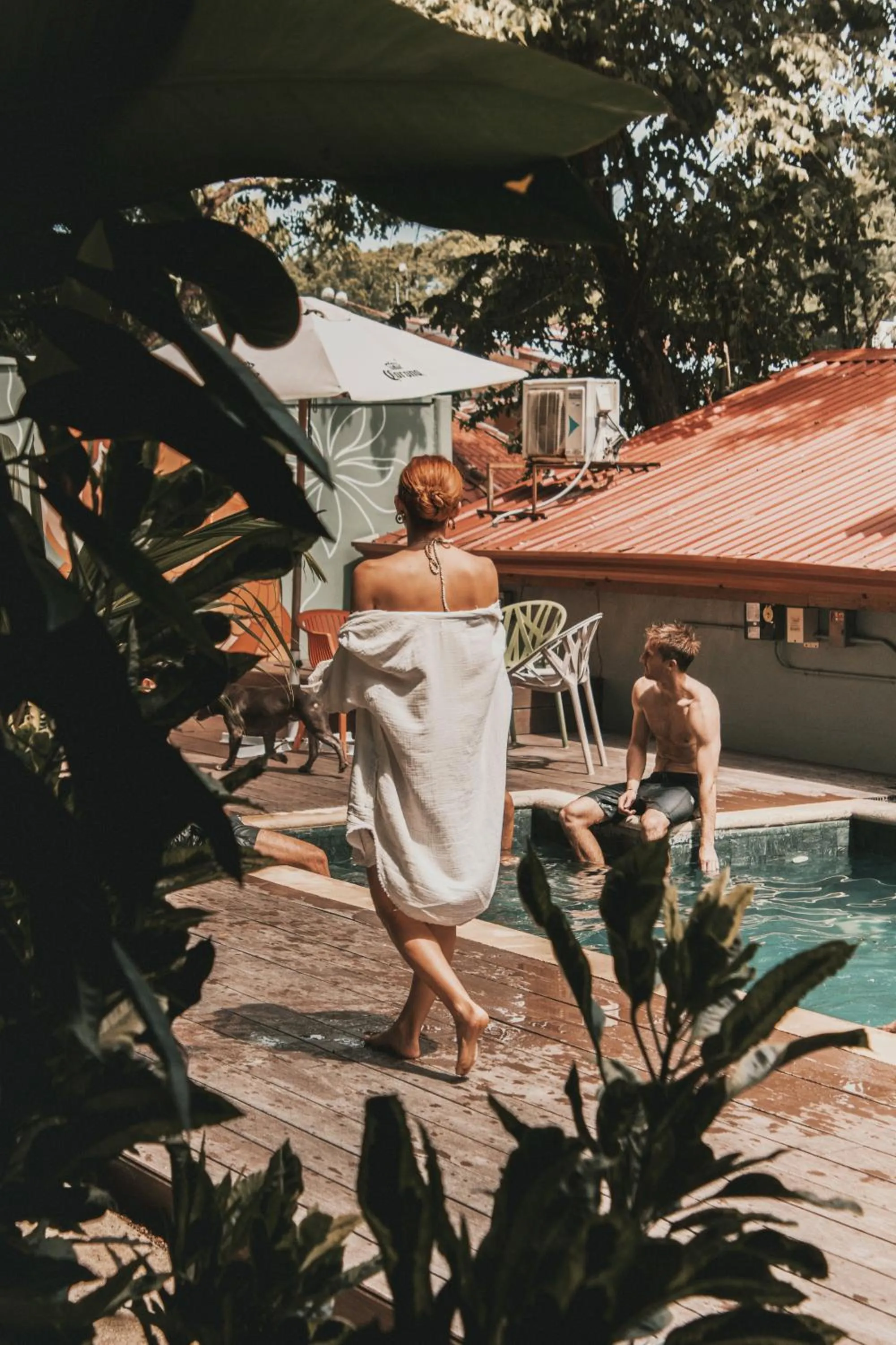 Armonia Santa Teresa