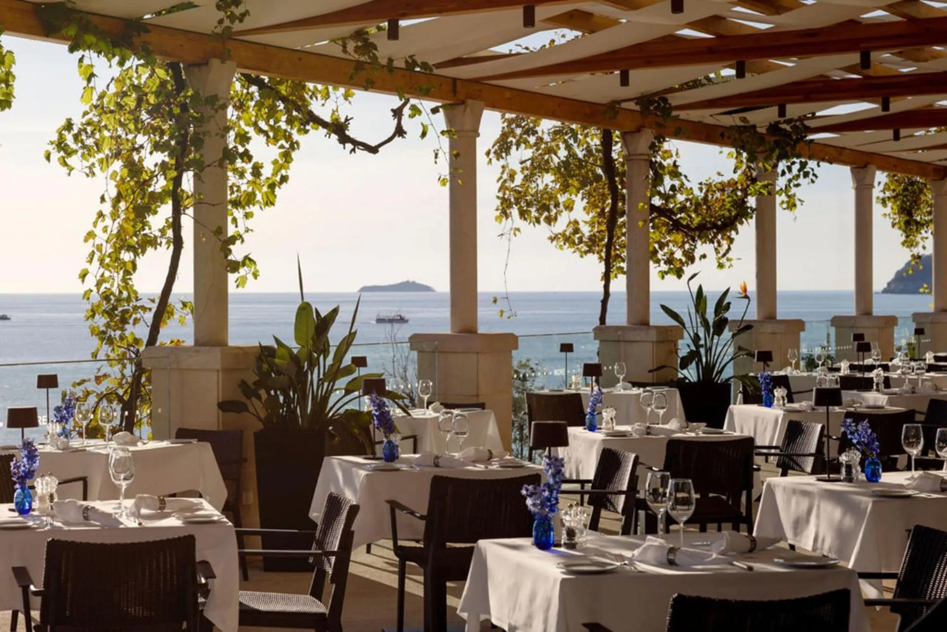 Restaurant/places to eat in Hotel More