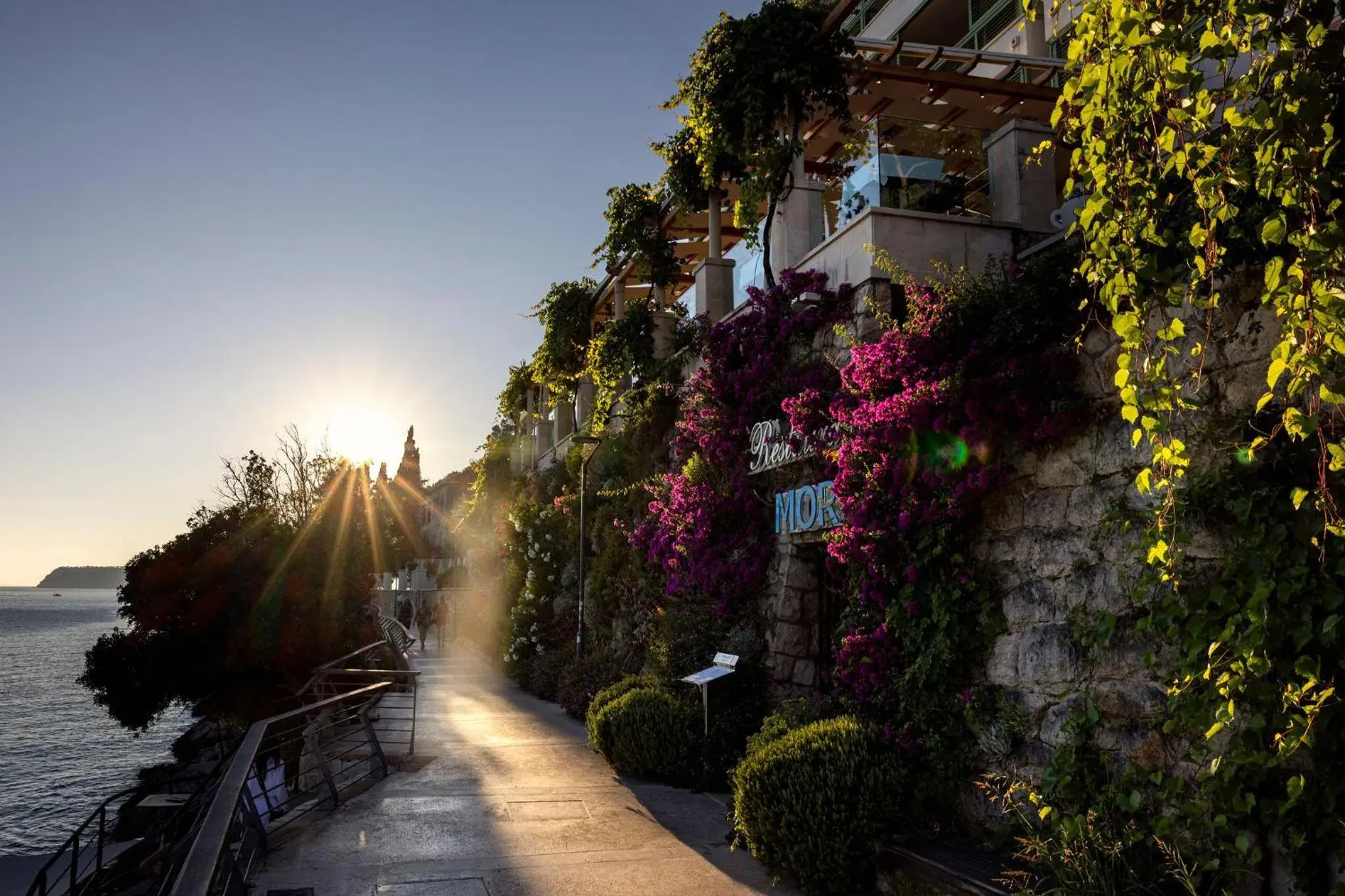 Restaurant/places to eat in Hotel More Restaurant/places to eat in Hotel More