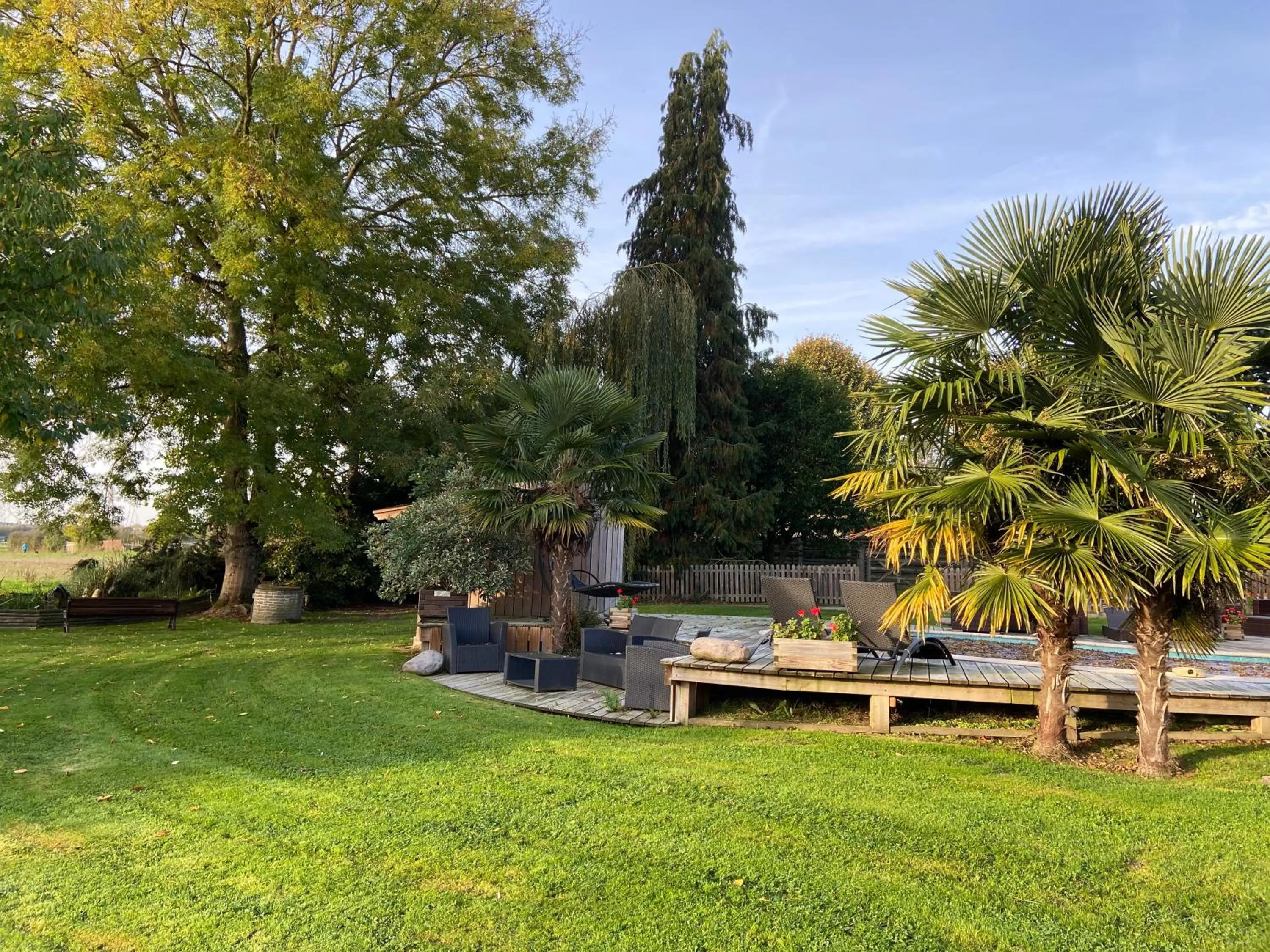 Les Crinieres En Brie