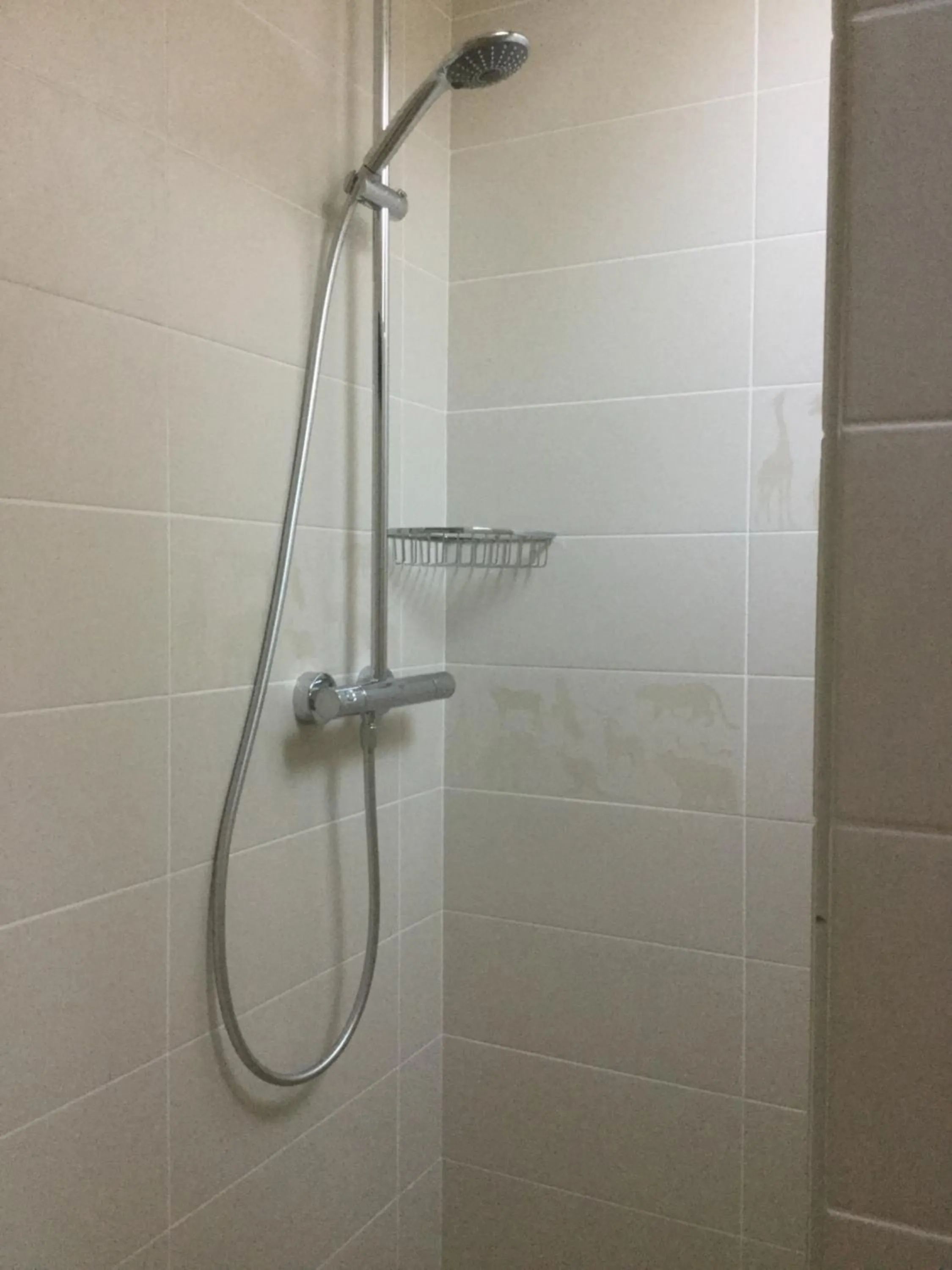 Shower in Les Crinieres En Brie