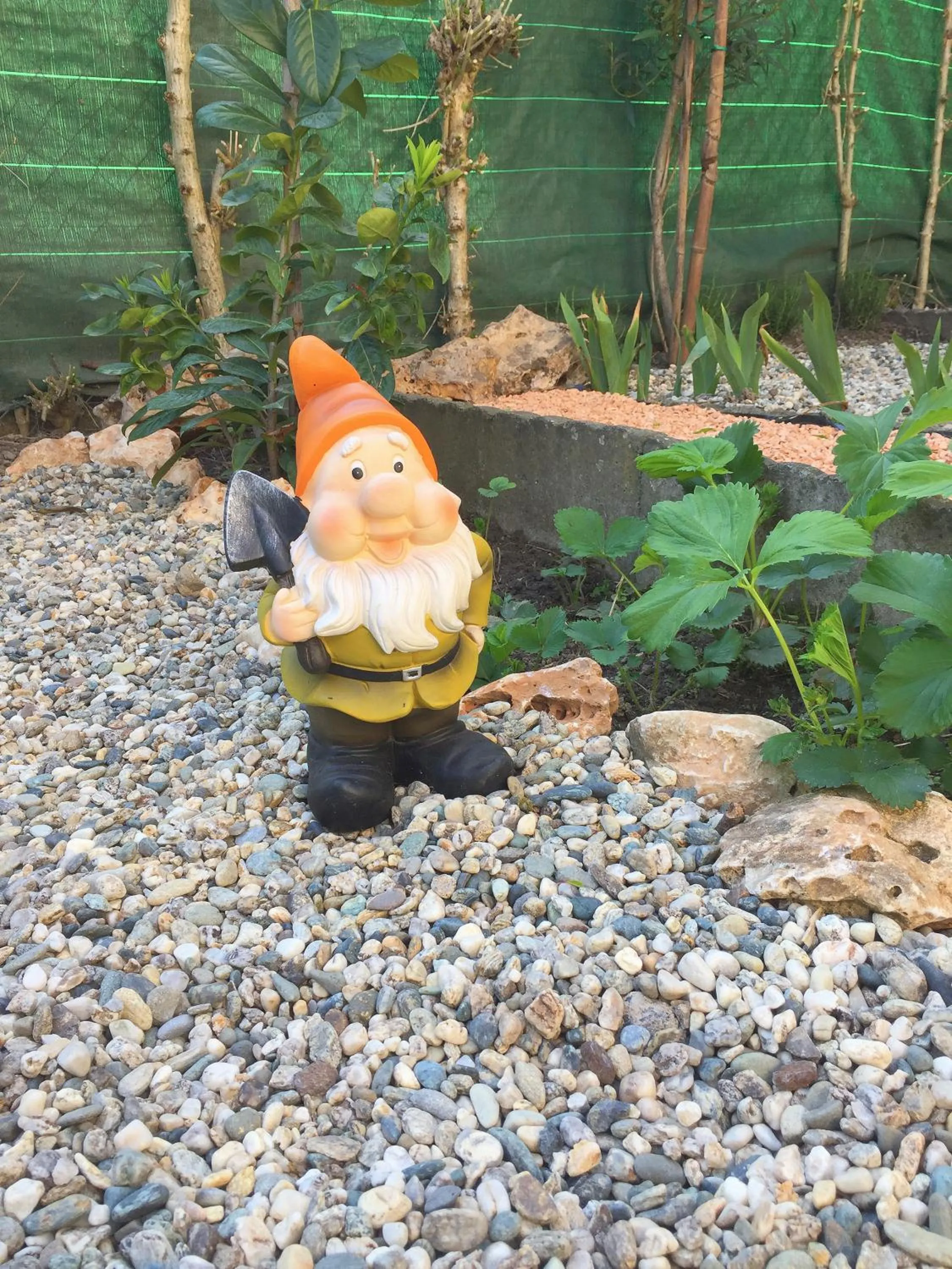 Garden view in B&B Antica Corte Lombarda