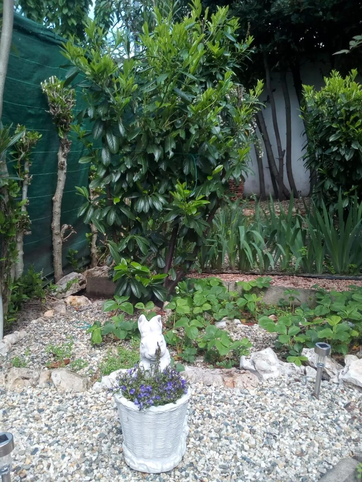 Inner courtyard view in B&B Antica Corte Lombarda