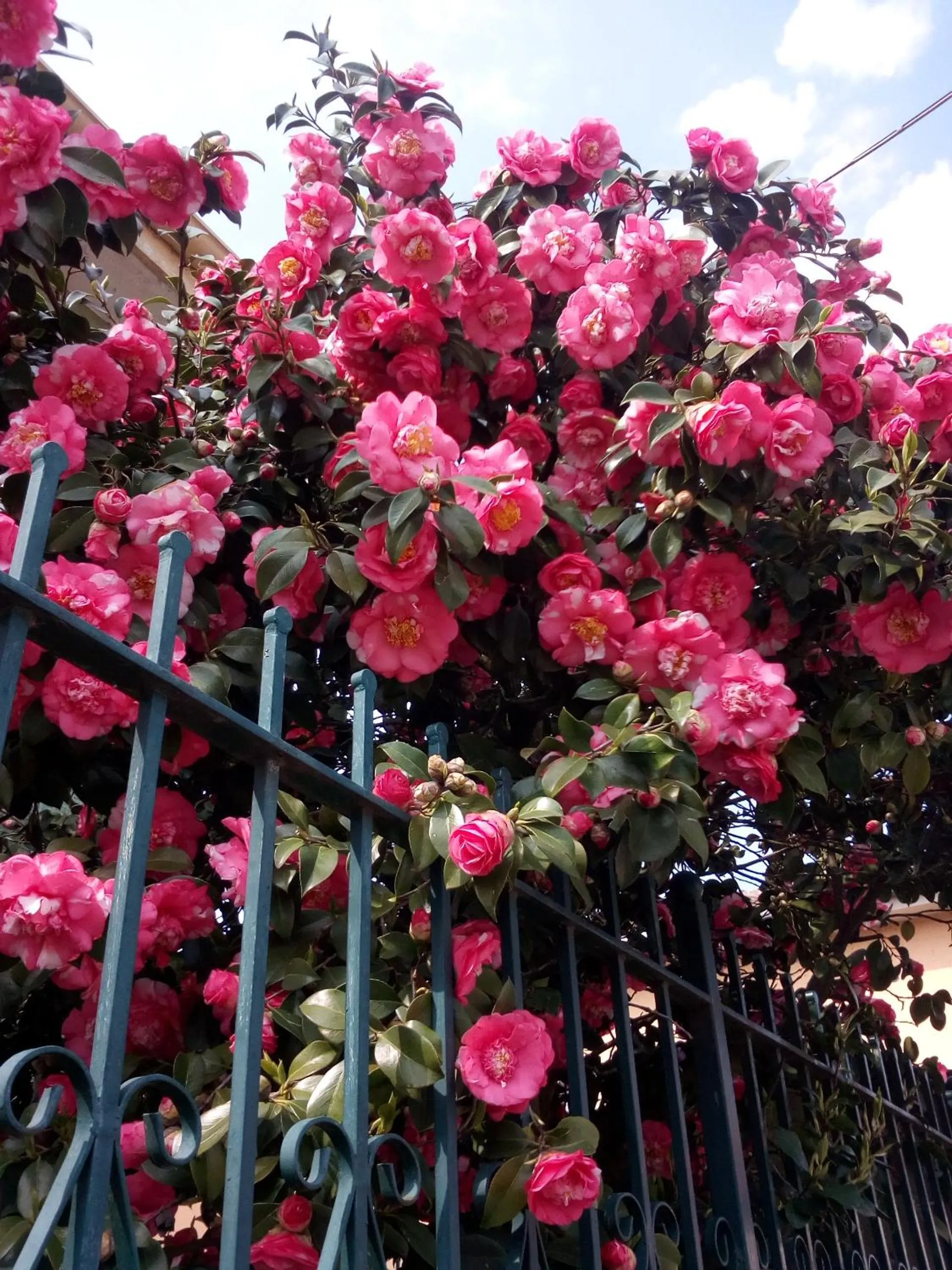 Facade/entrance in B&B Antica Corte Lombarda