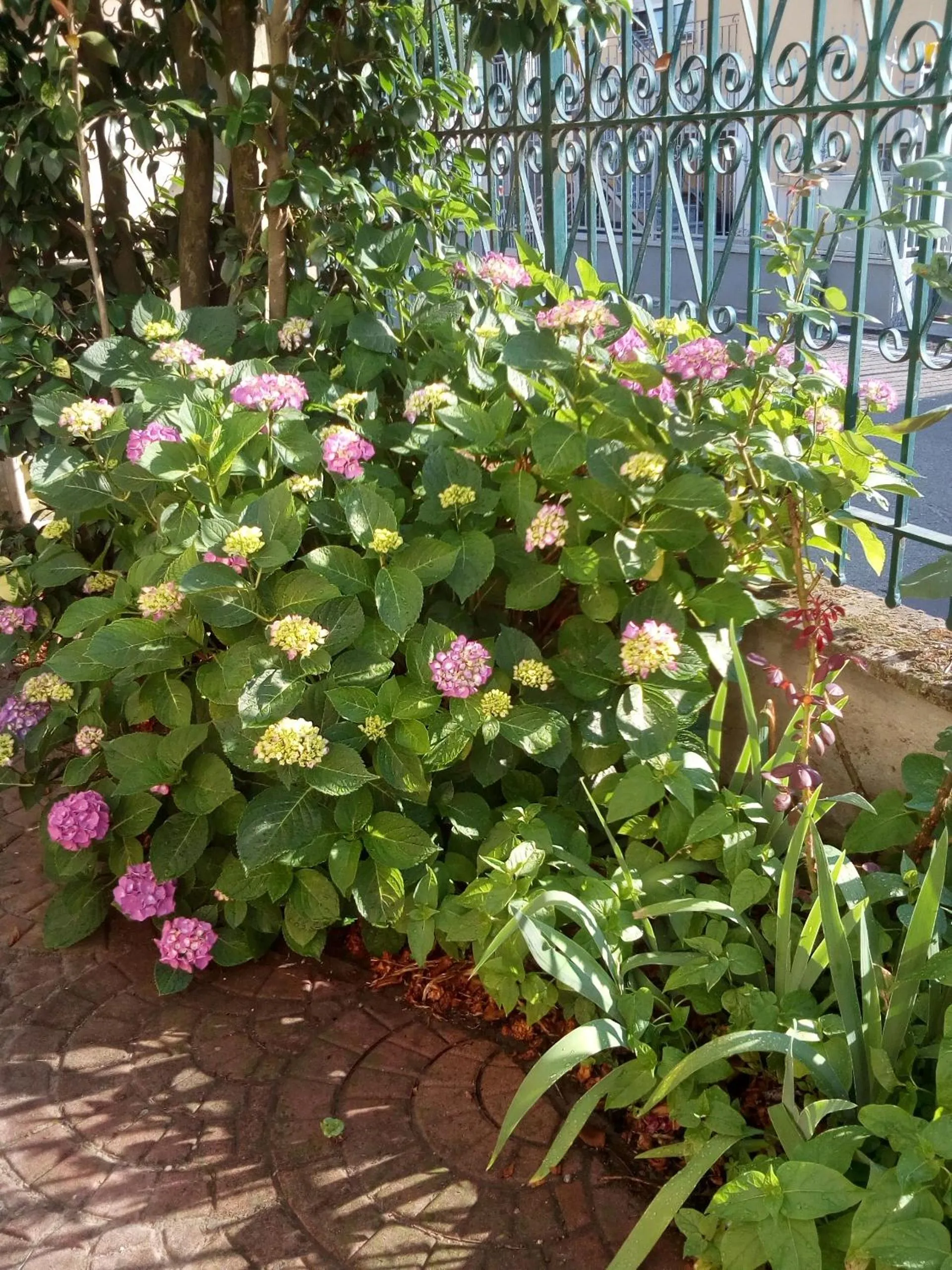 Garden in B&B Antica Corte Lombarda