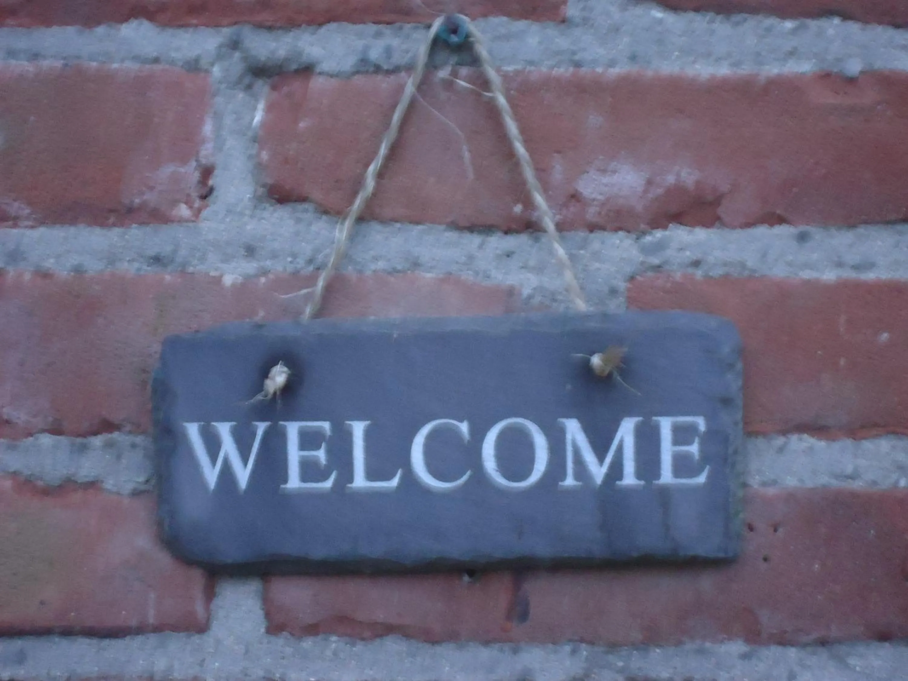Decorative detail in B&B Sloterpark