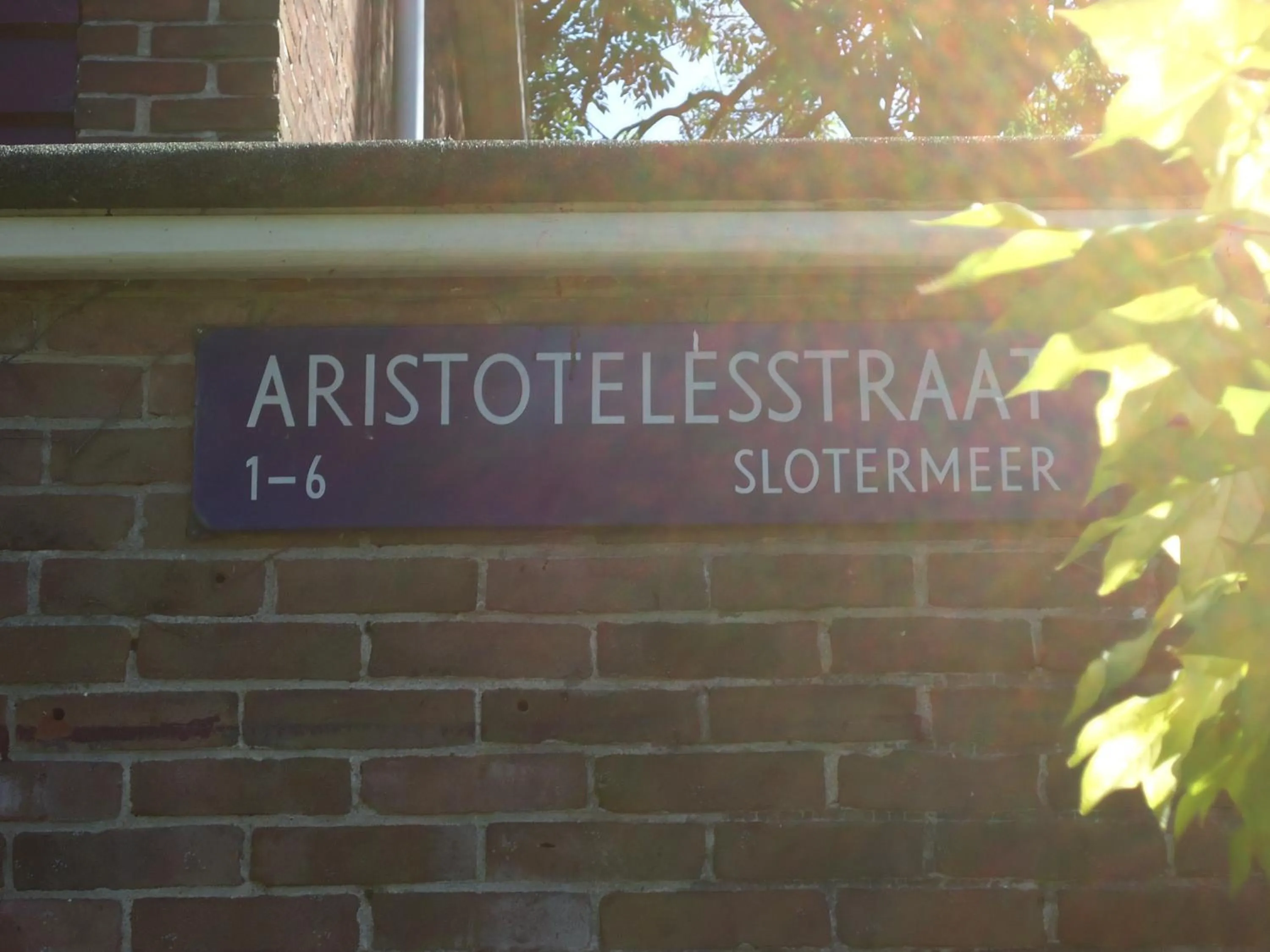 Logo/Certificate/Sign in B&B Sloterpark