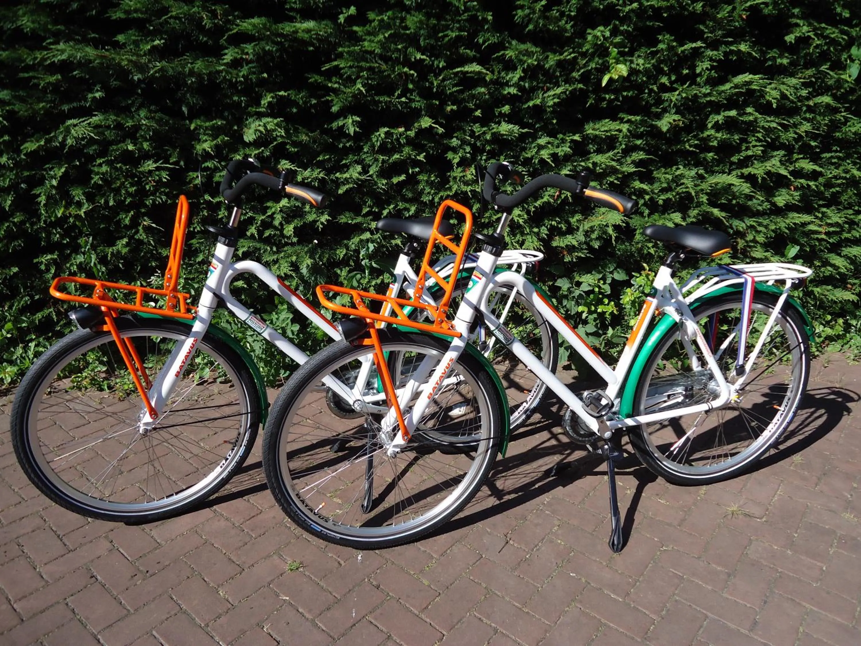 Cycling in B&B Sloterpark