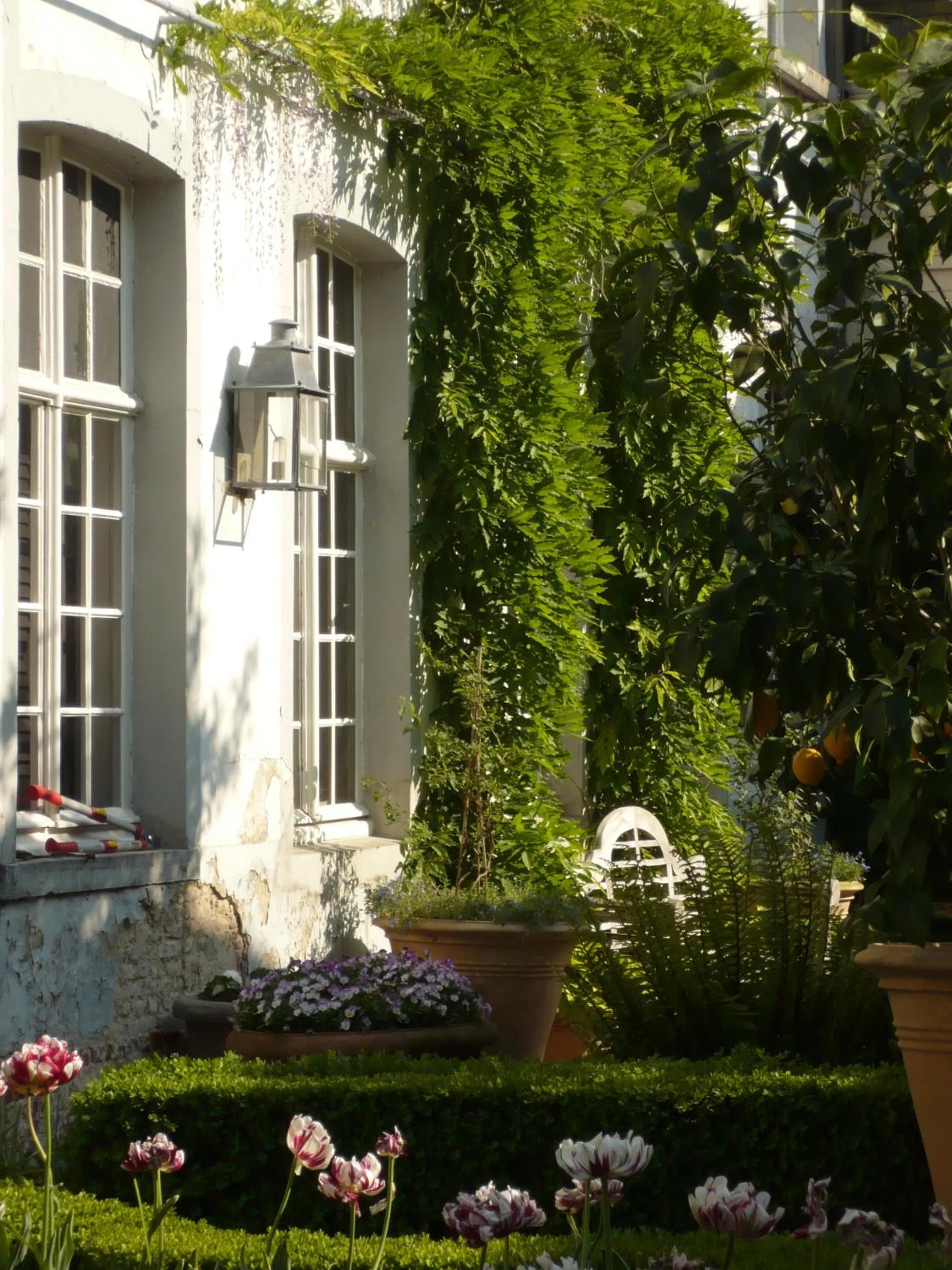 Garden in B&B The Verhaegen