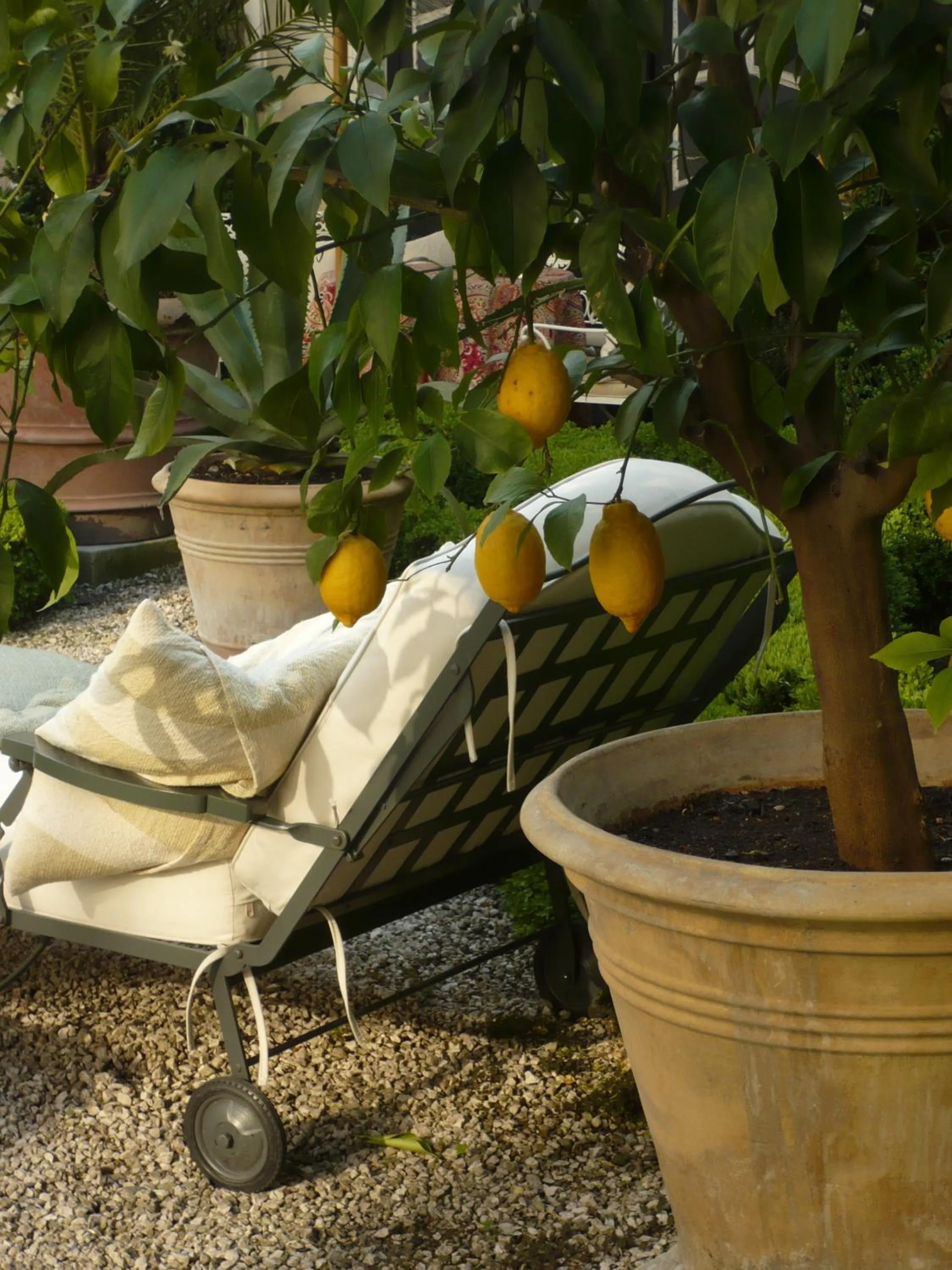 Balcony/Terrace in B&B The Verhaegen