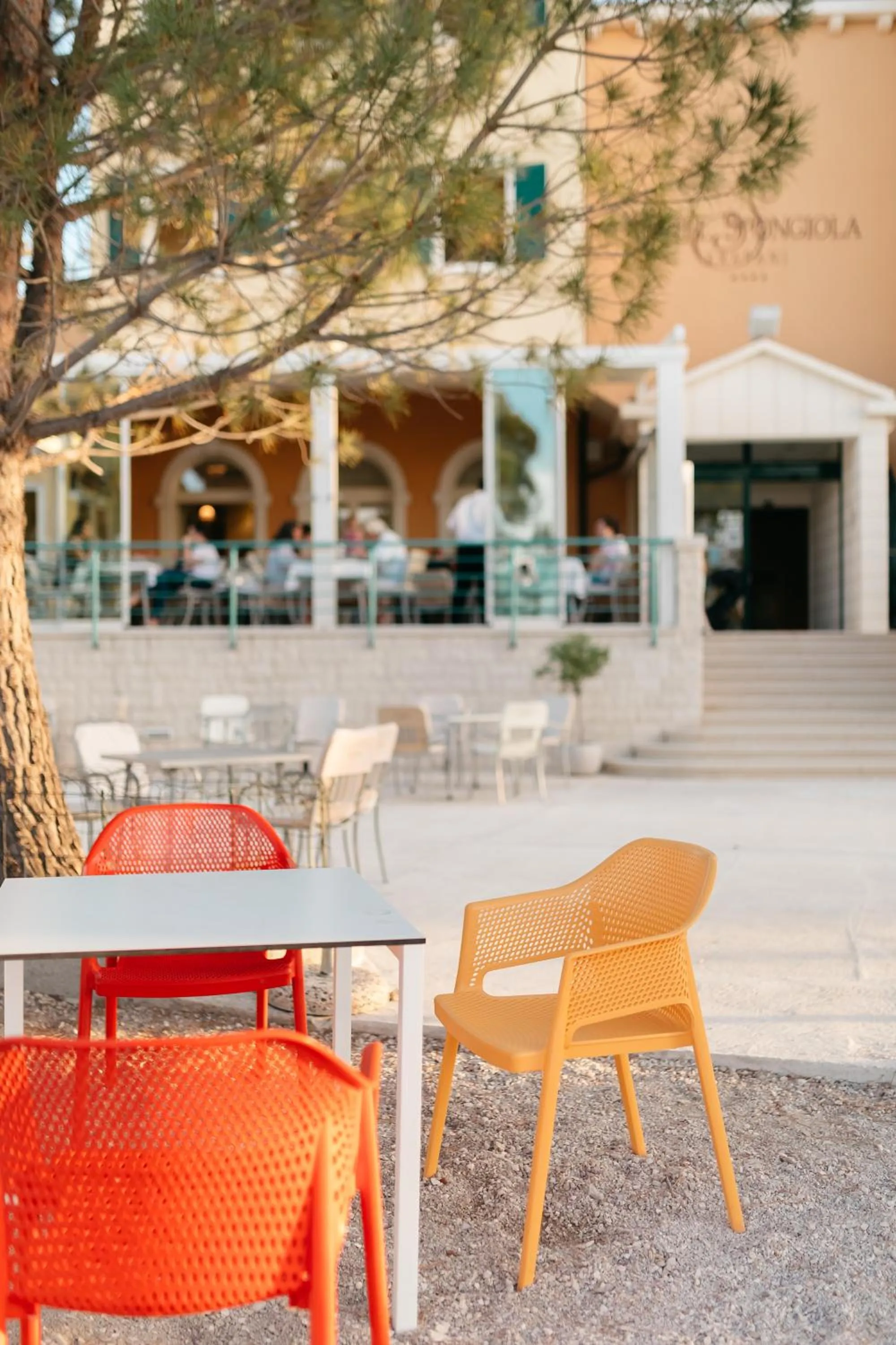 Lounge or bar in Hotel Spongiola