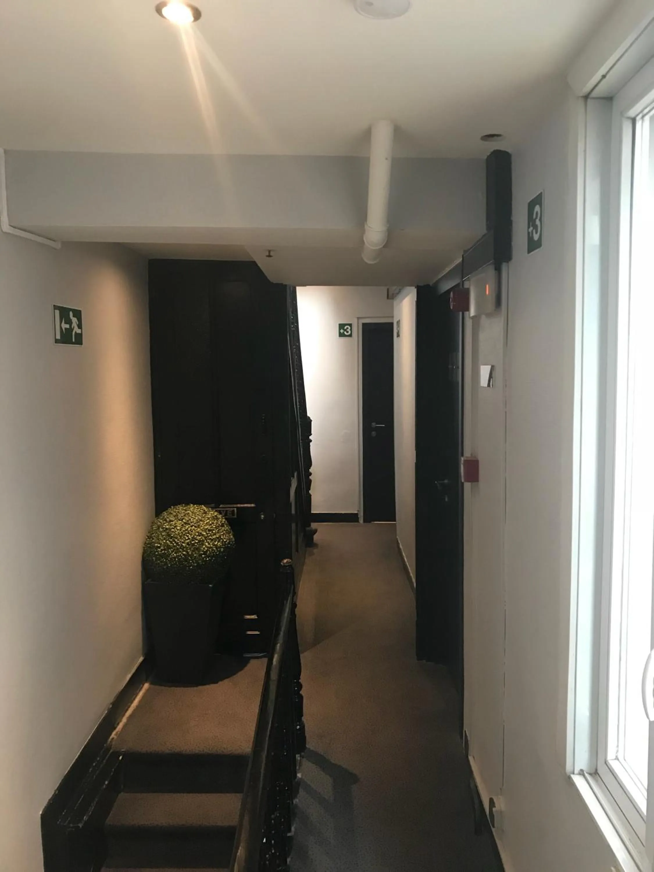 Property building in Royal Hotel