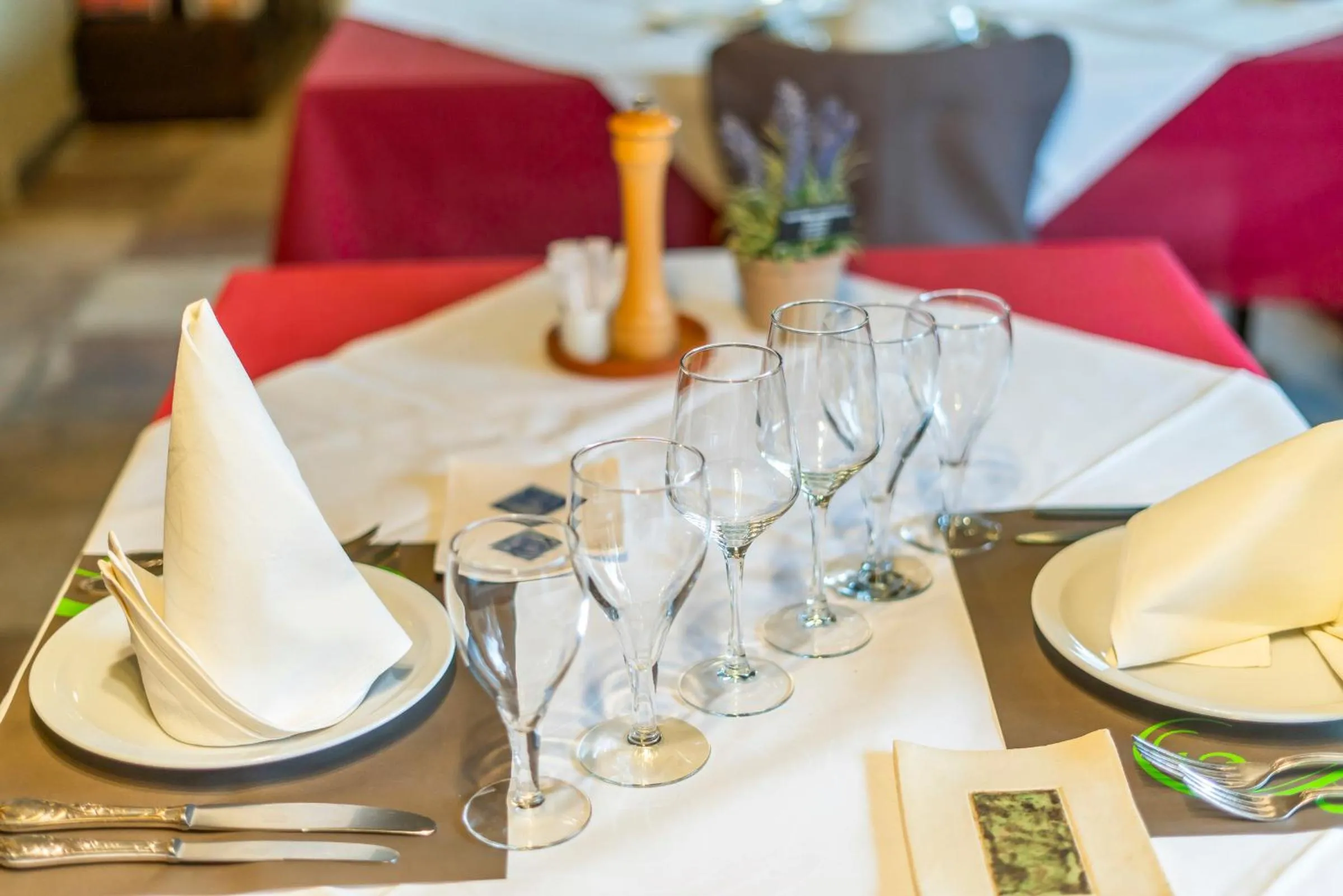 Food and drinks in Elckerlyck Inn Hotel