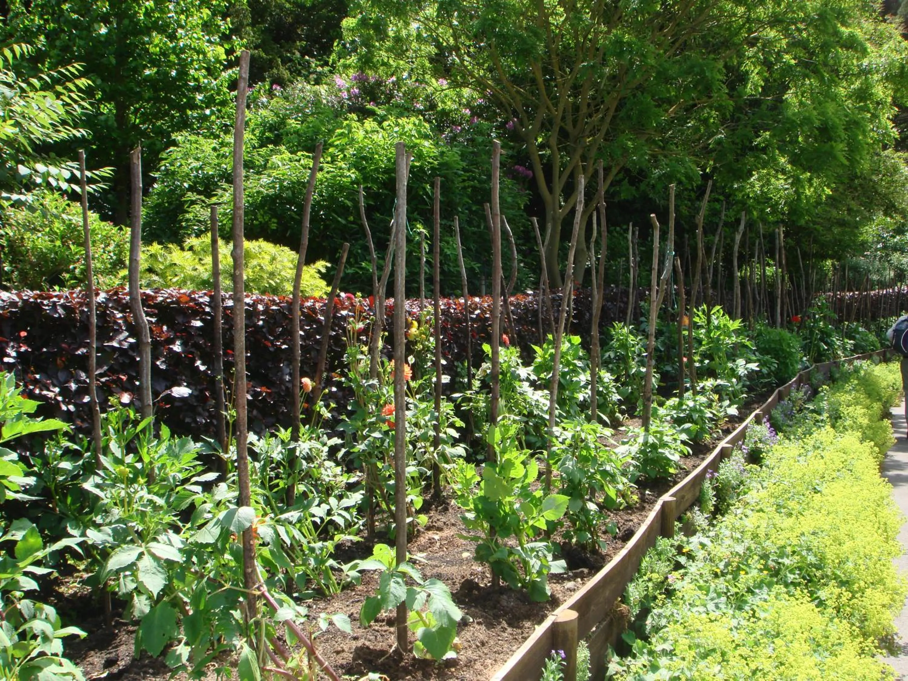 Garden in Elckerlyck Inn Hotel