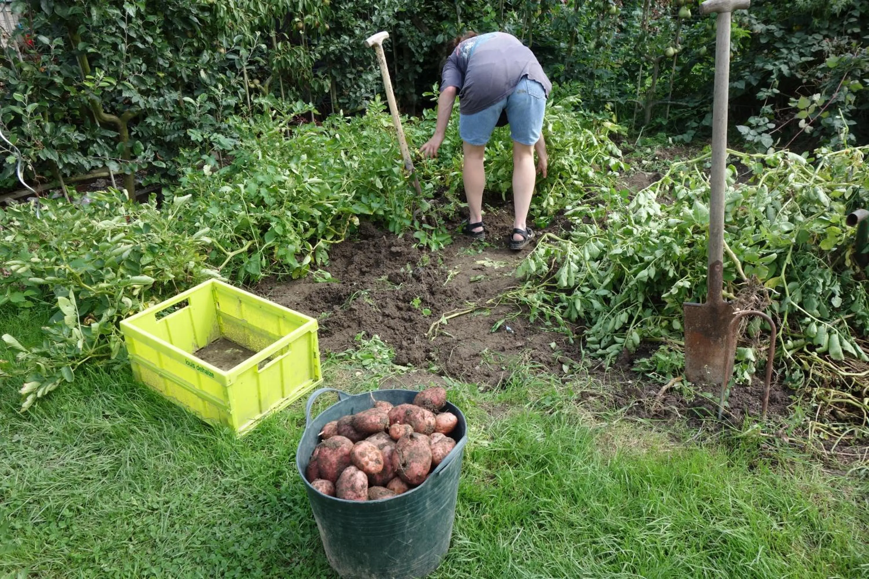 Activities in Elckerlyck Inn Hotel