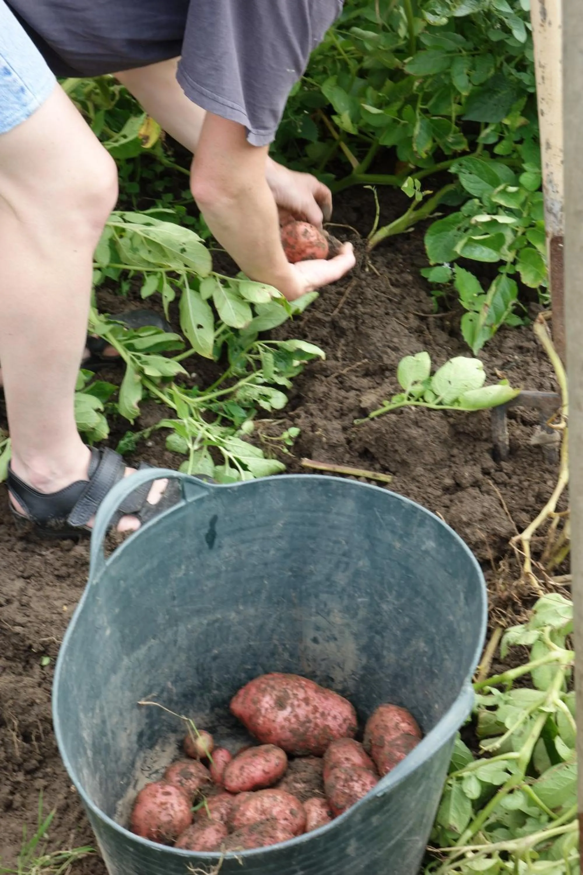 Activities in Elckerlyck Inn Hotel