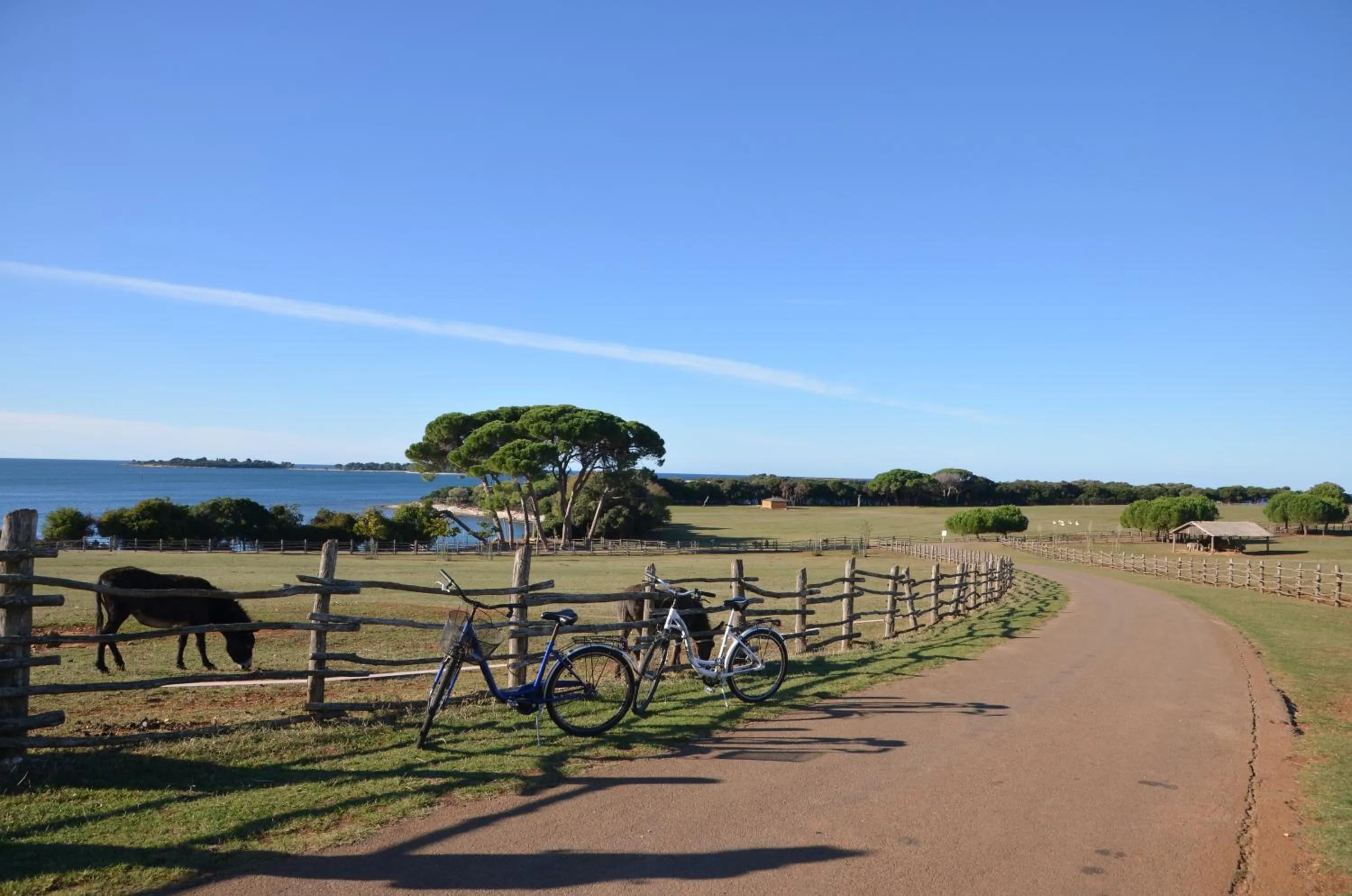 Nearby landmark in Villetta Phasiana