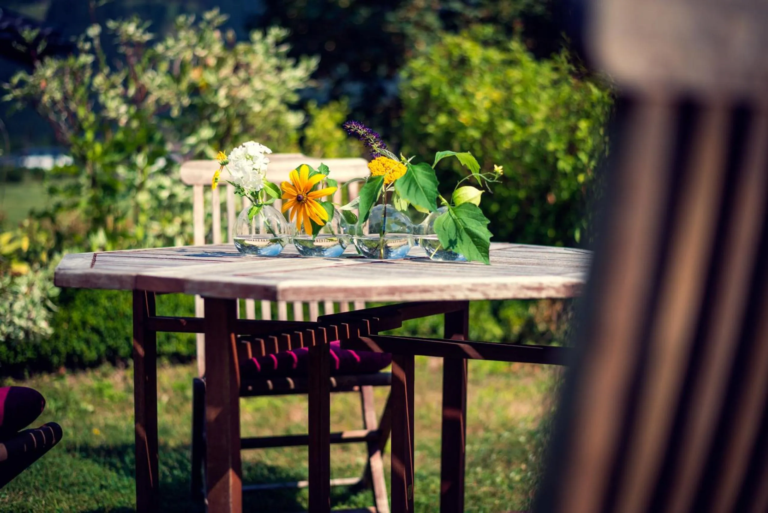 Garden in ride & relax Aparthotel Schwarz