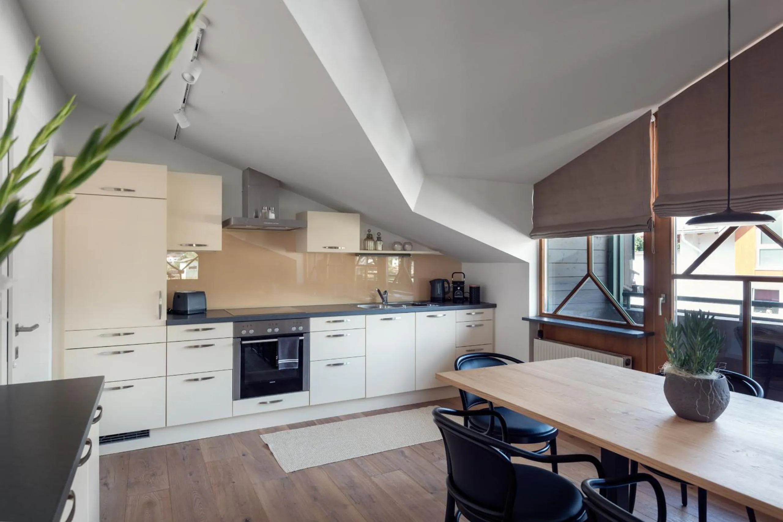Kitchen or kitchenette in ride & relax Aparthotel Schwarz