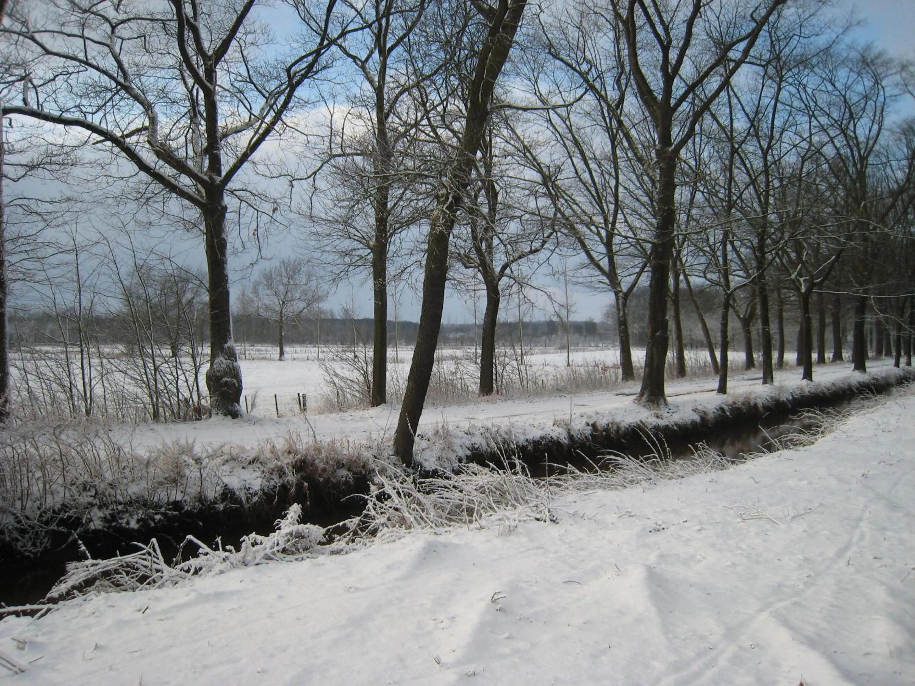 Natural landscape in Hotel Het Buskruid