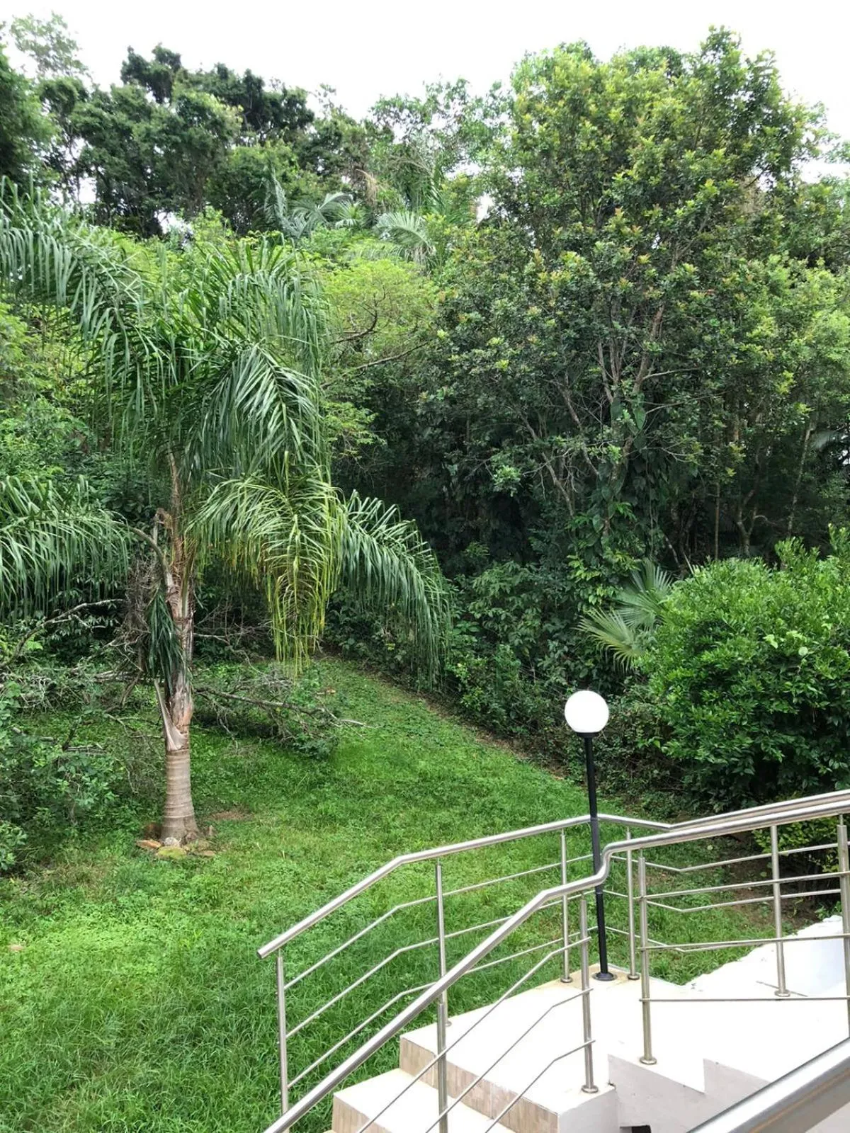 Garden view in Casa Figueira na Pedra - SPA Suites