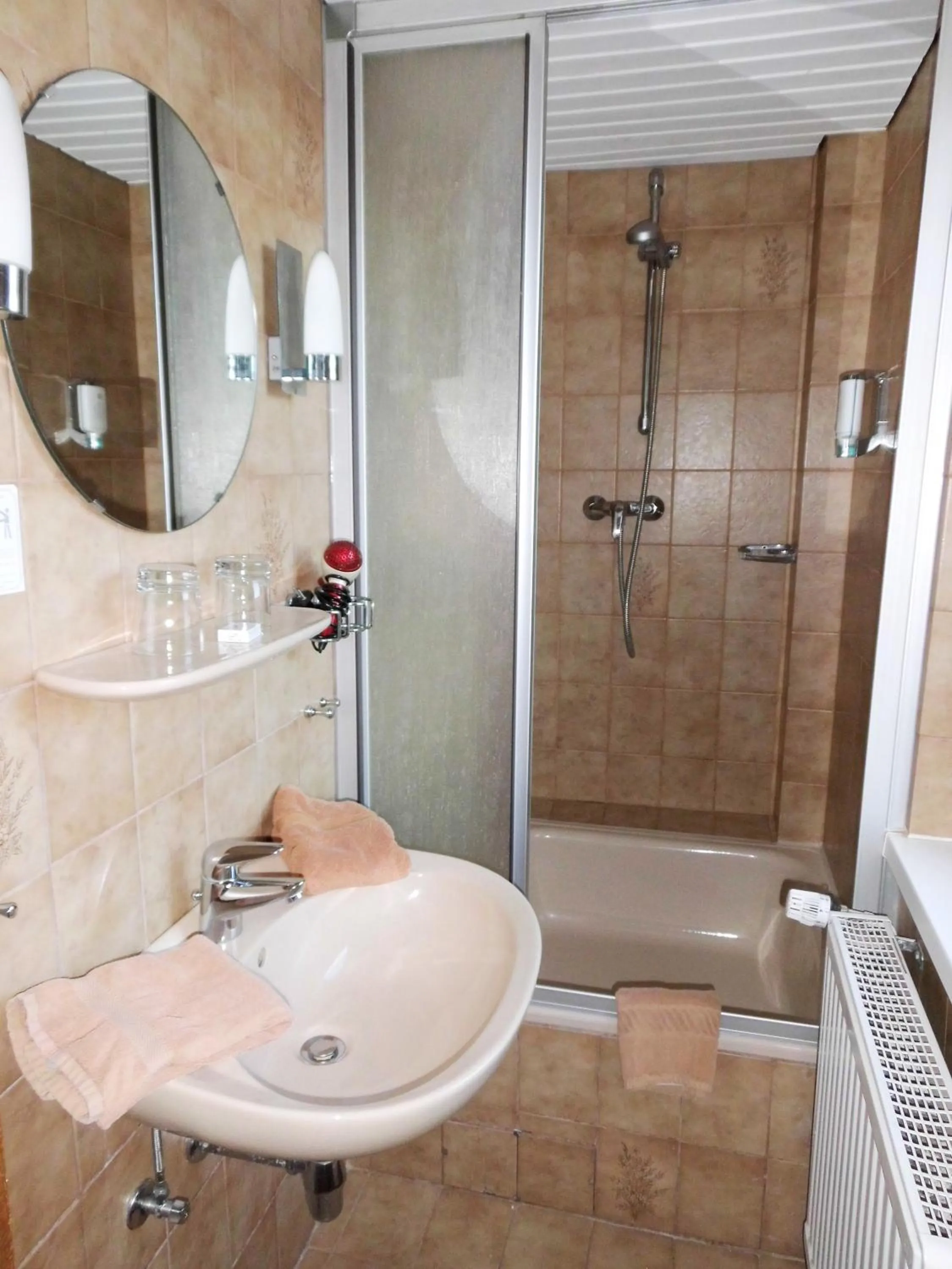 Shower in Hotel Seerose