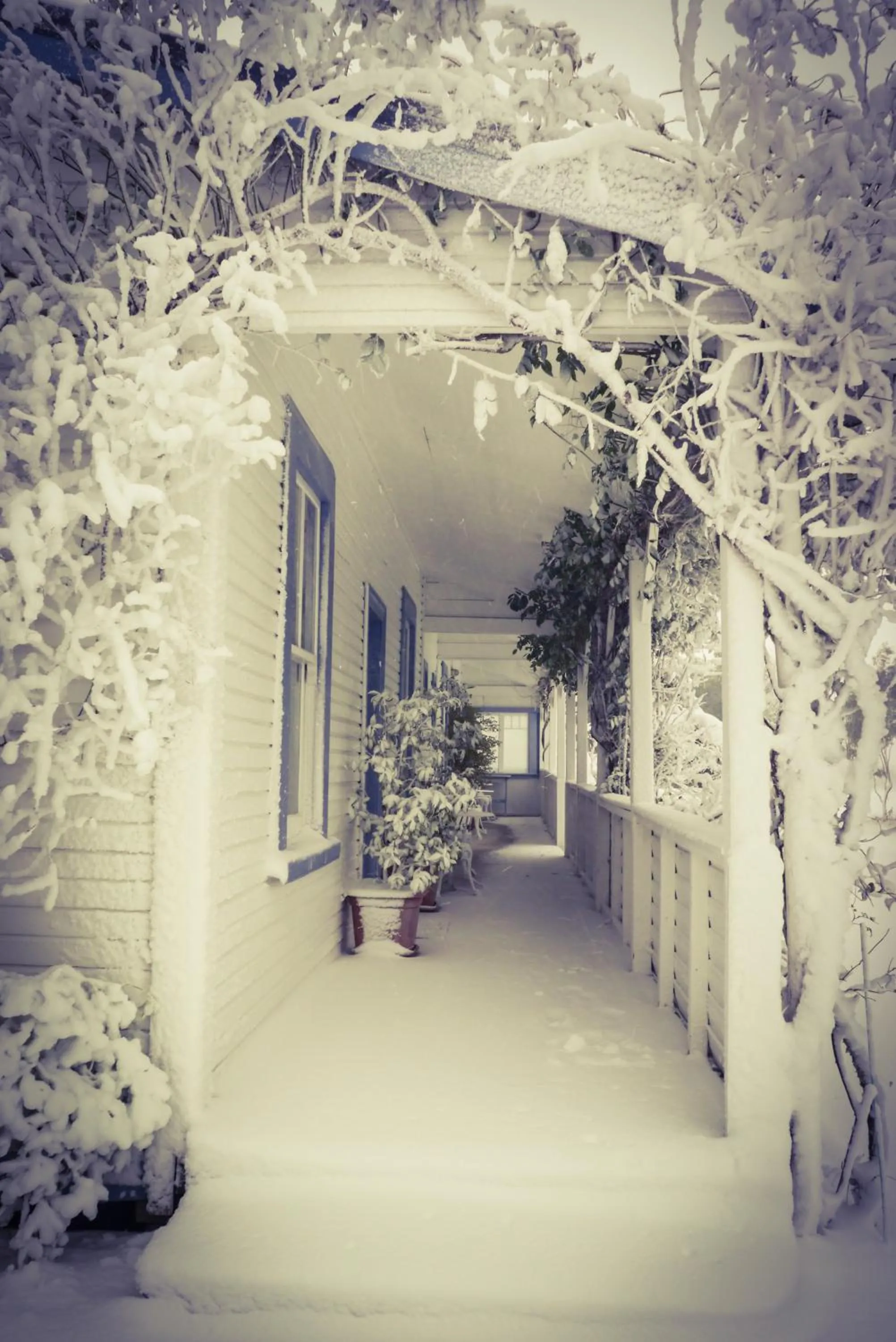 Winter in Tongariro Crossing Lodge