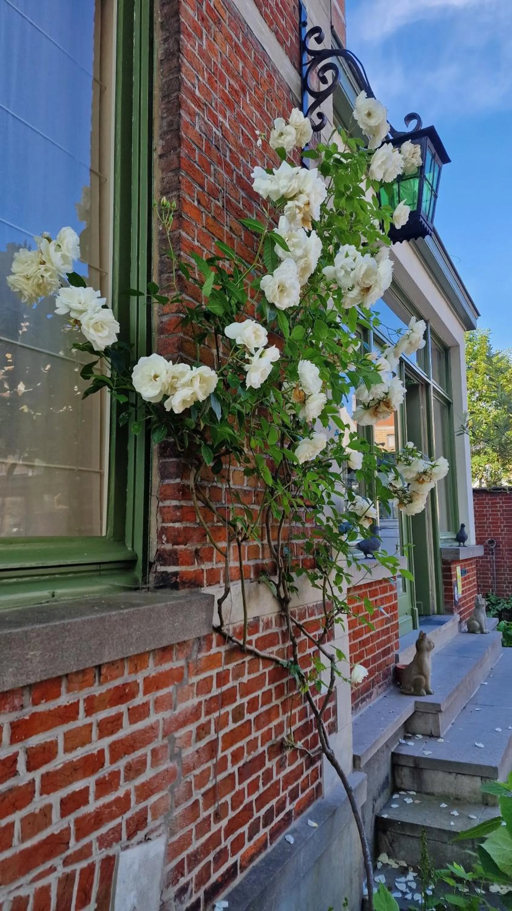 Garden in B&B Fine Fleur