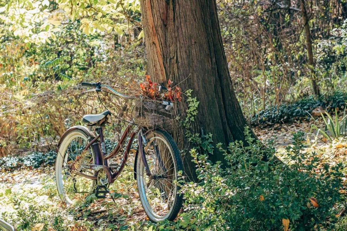 Property building in The Emig Mansion