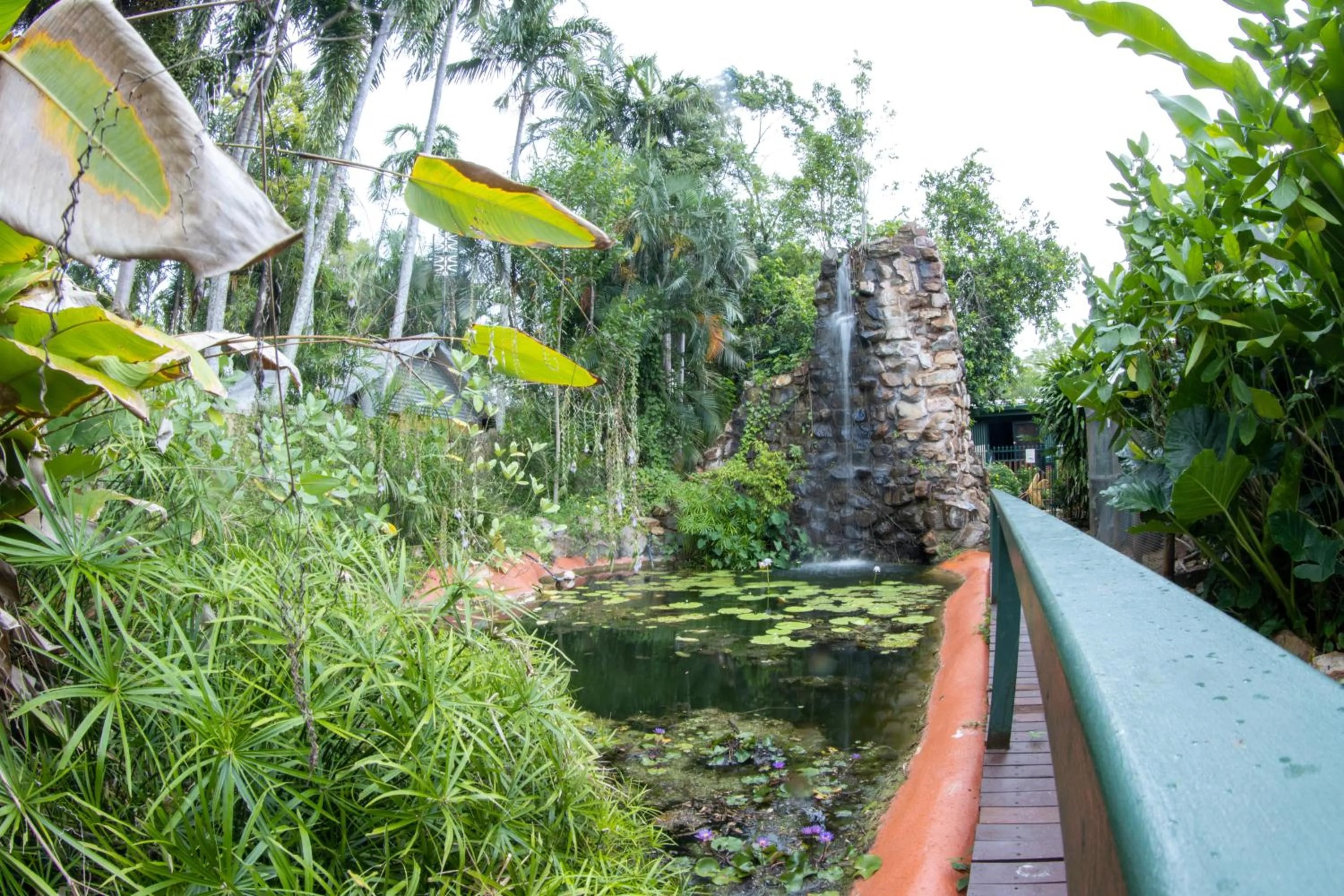Garden in Batchelor Butterfly Farm