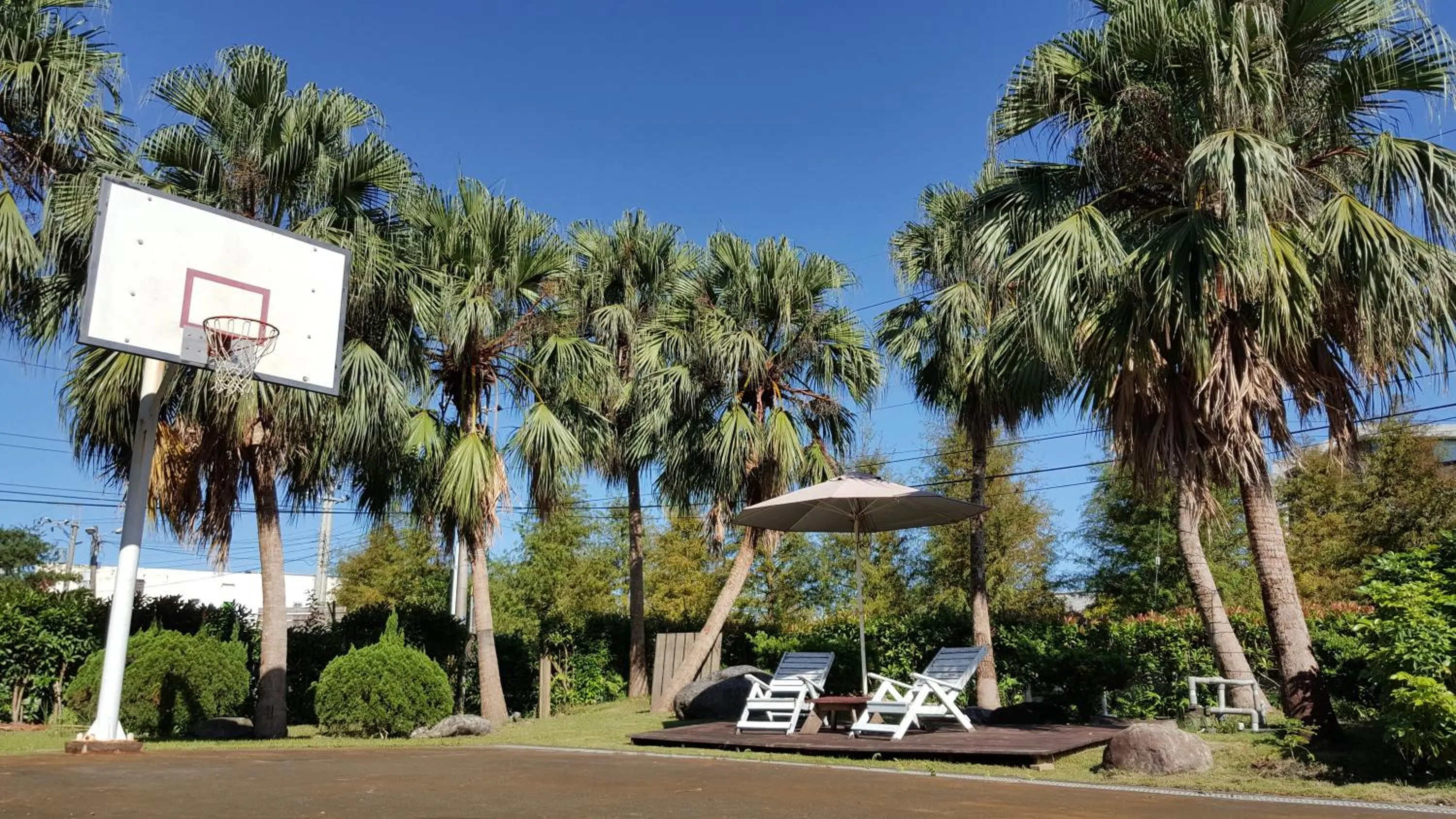 Garden in The House of Water