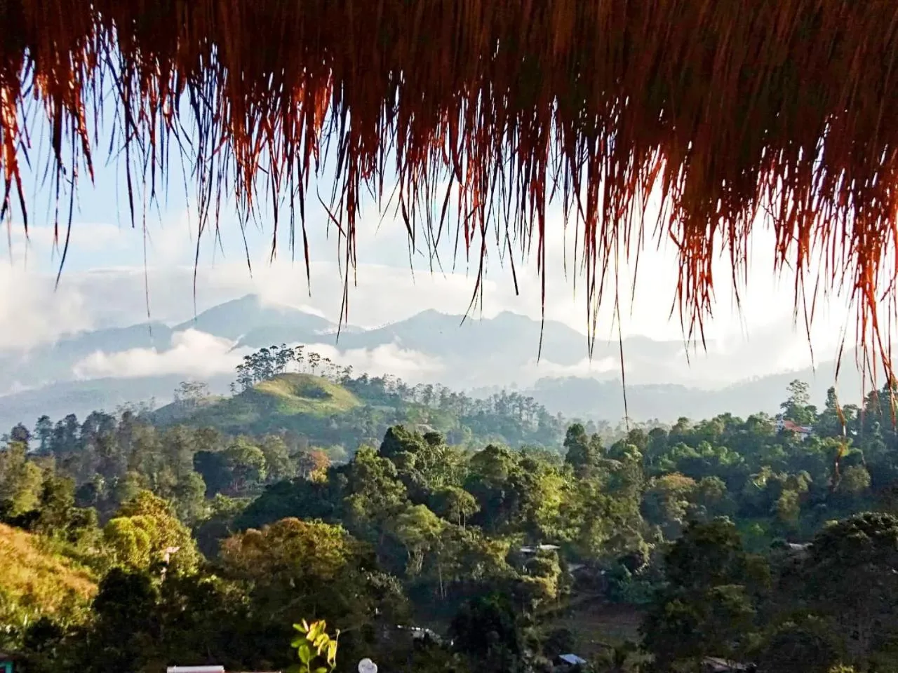 Mountain view in Ella Dream Mount