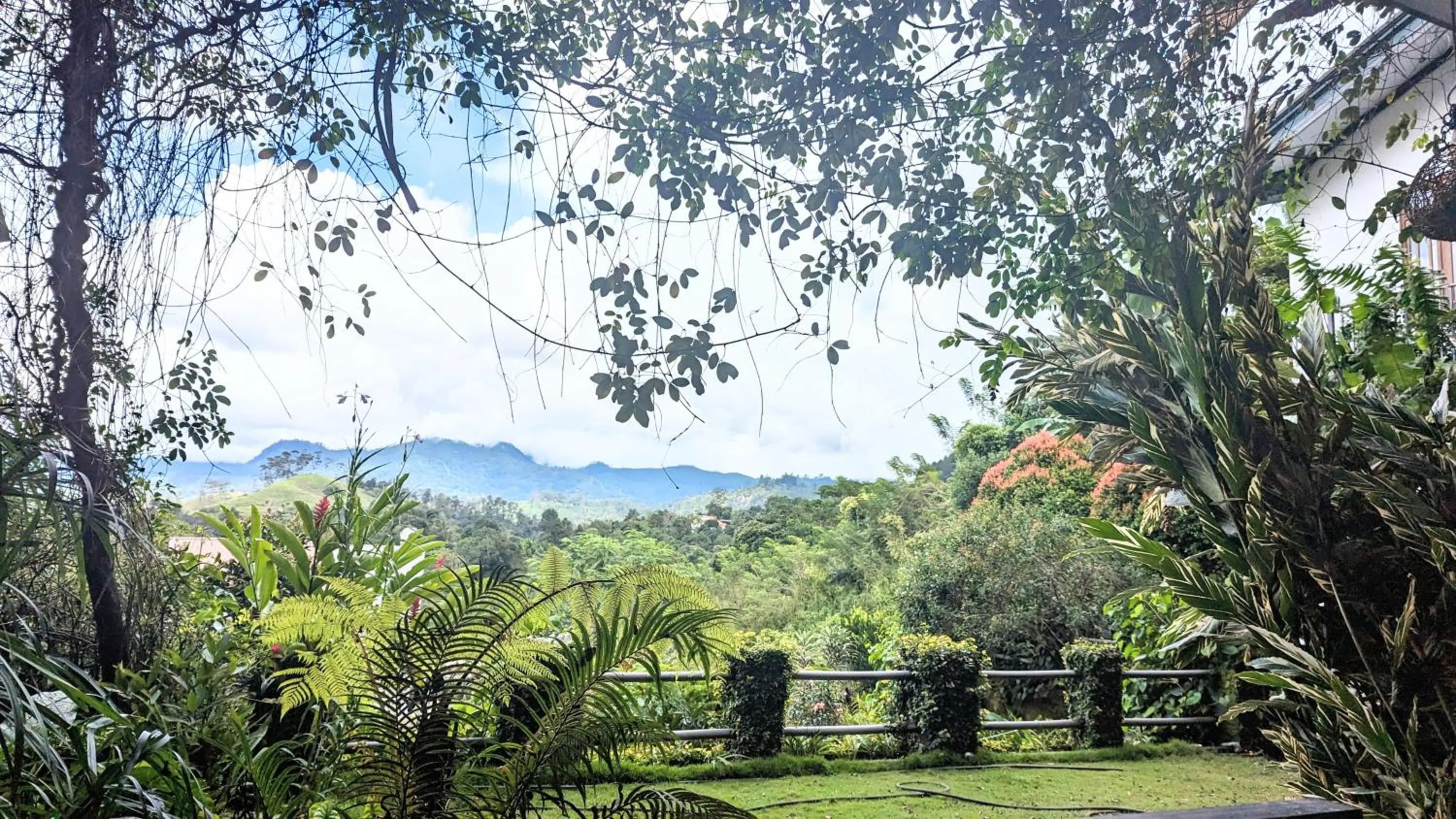 Garden in Ella Dream Mount