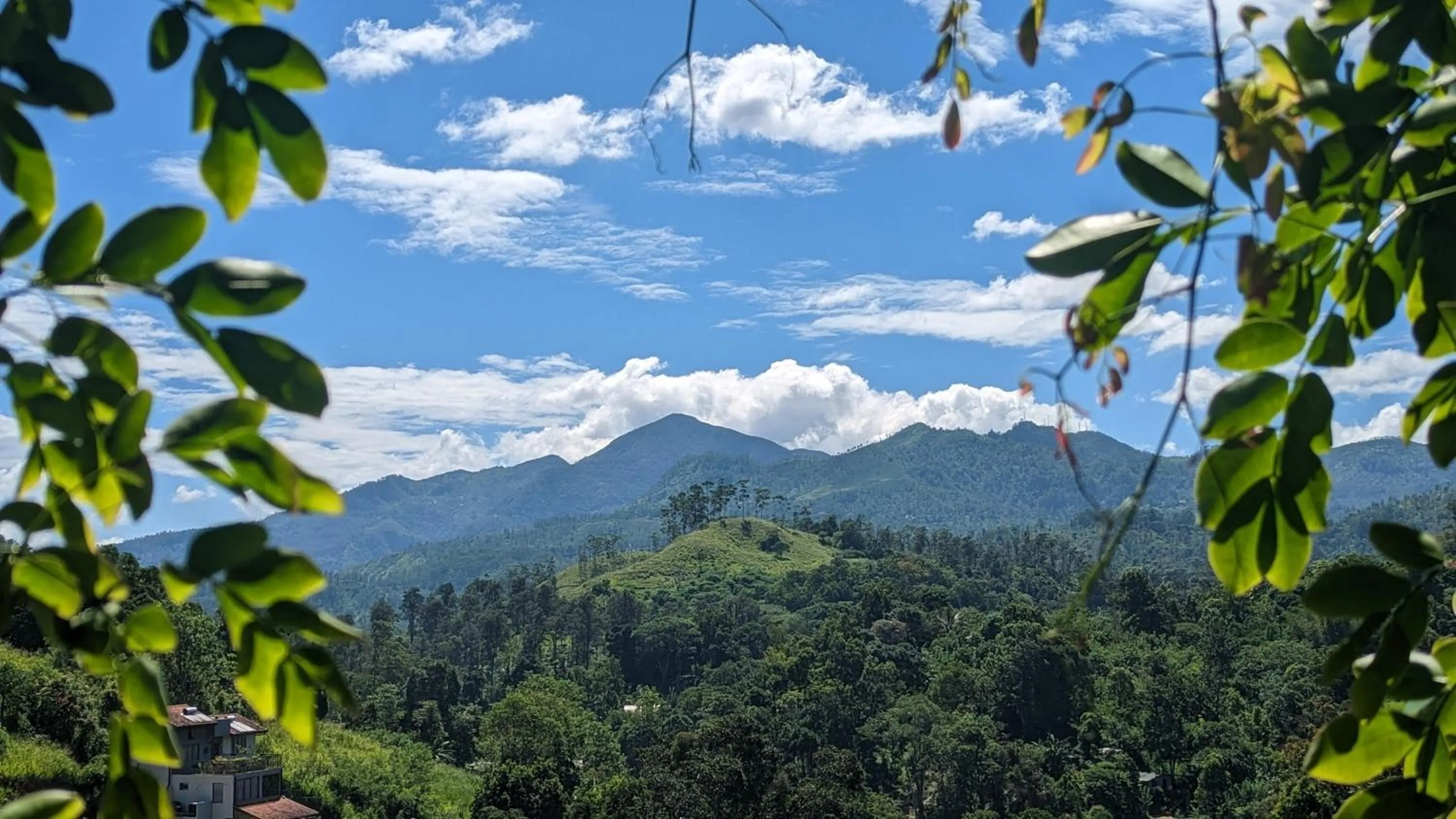 Day in Ella Dream Mount