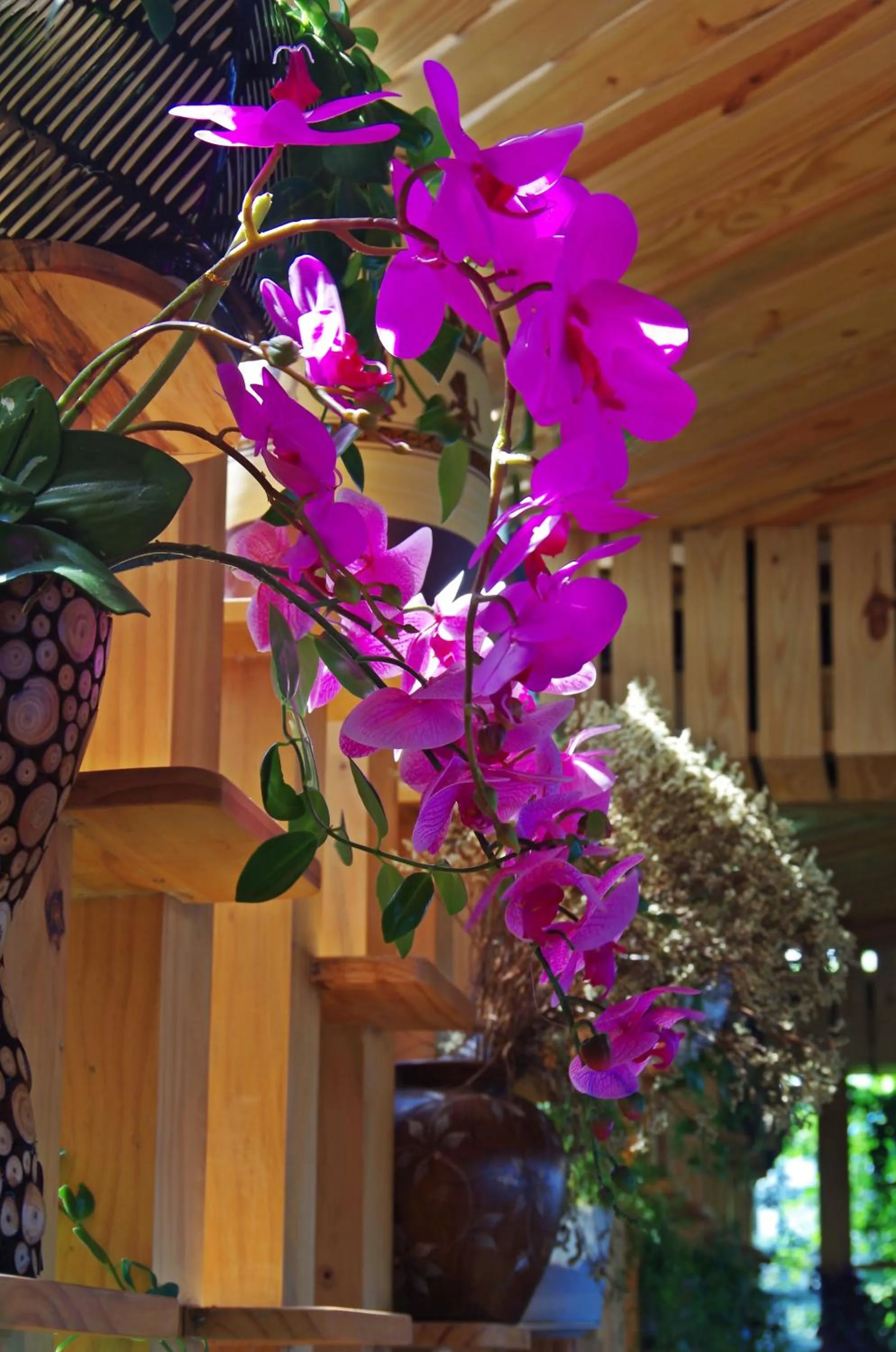 Garden in Ngoc Chau Phu Quoc Hotel