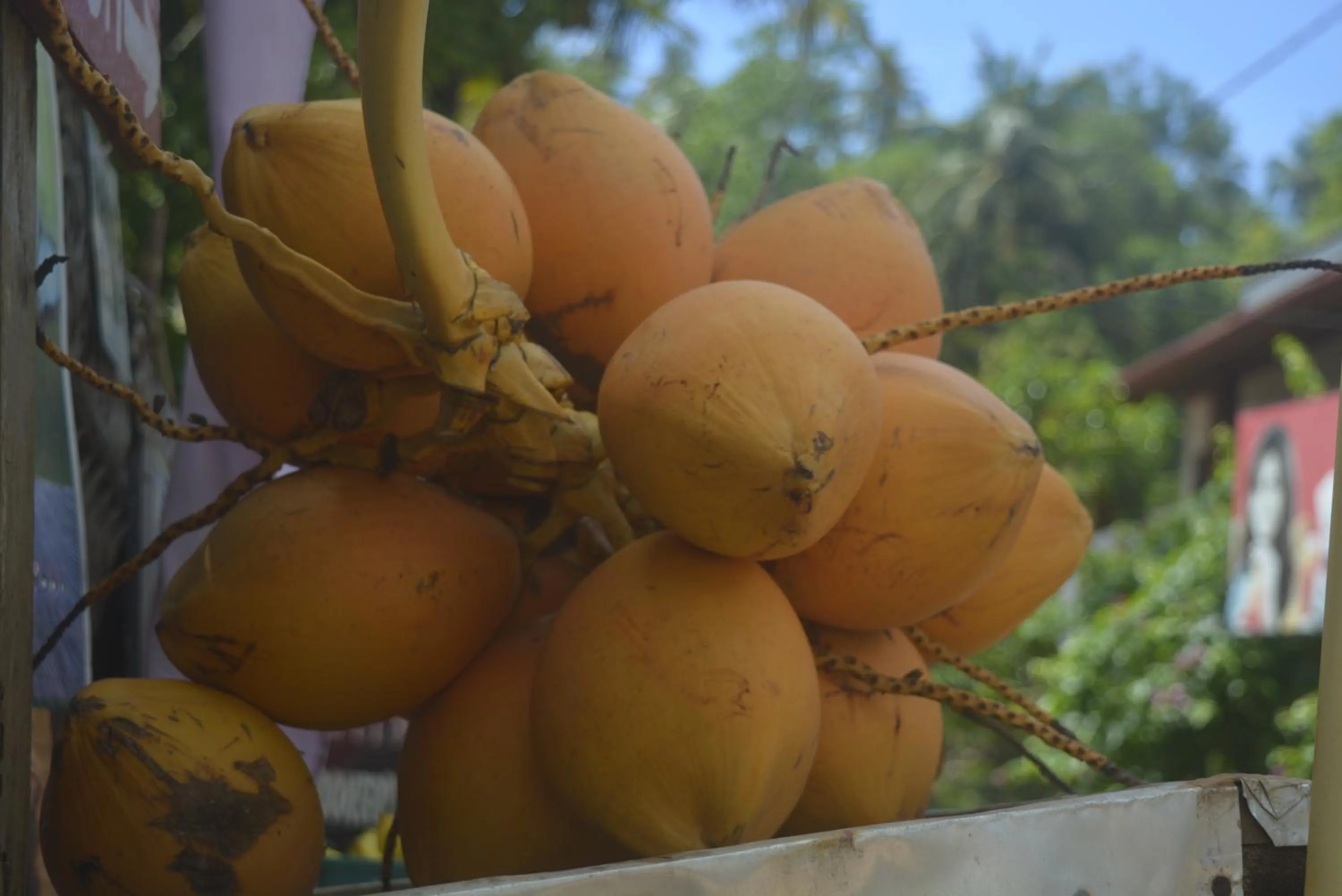 Drinks in Mama's place Mirissa