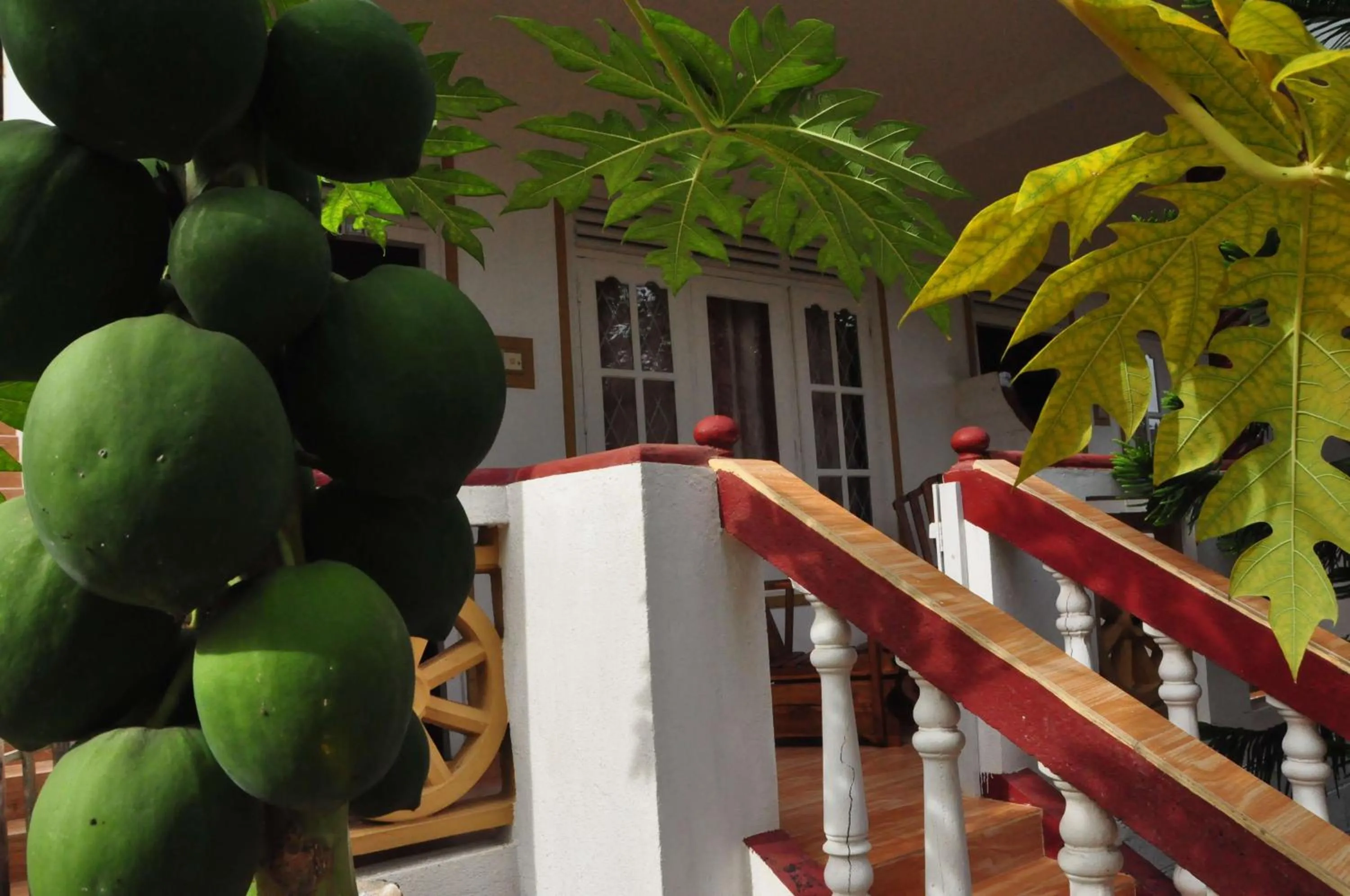 Other in Mama's place Mirissa