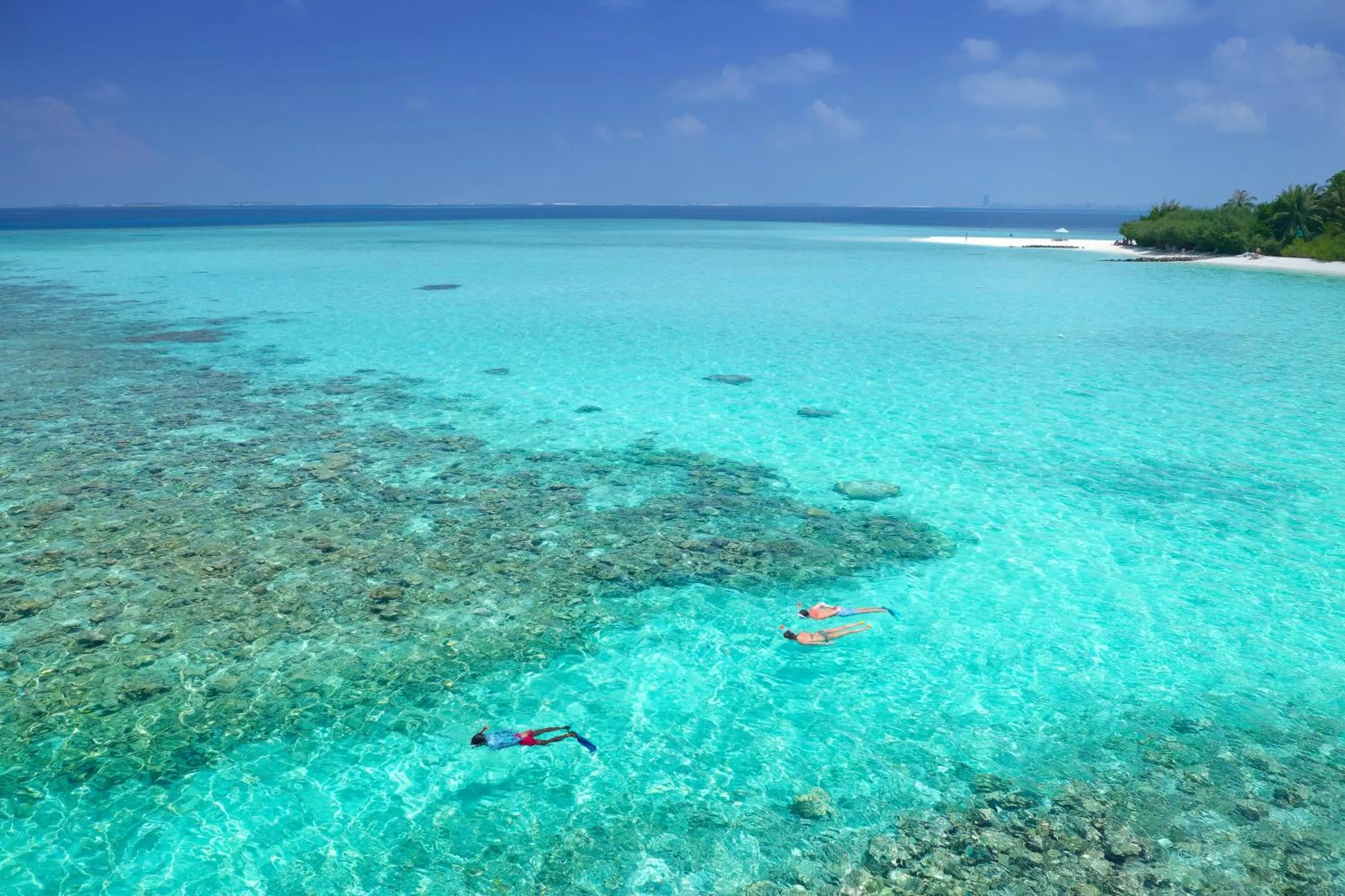 Snorkeling in Embudu Village Maldives